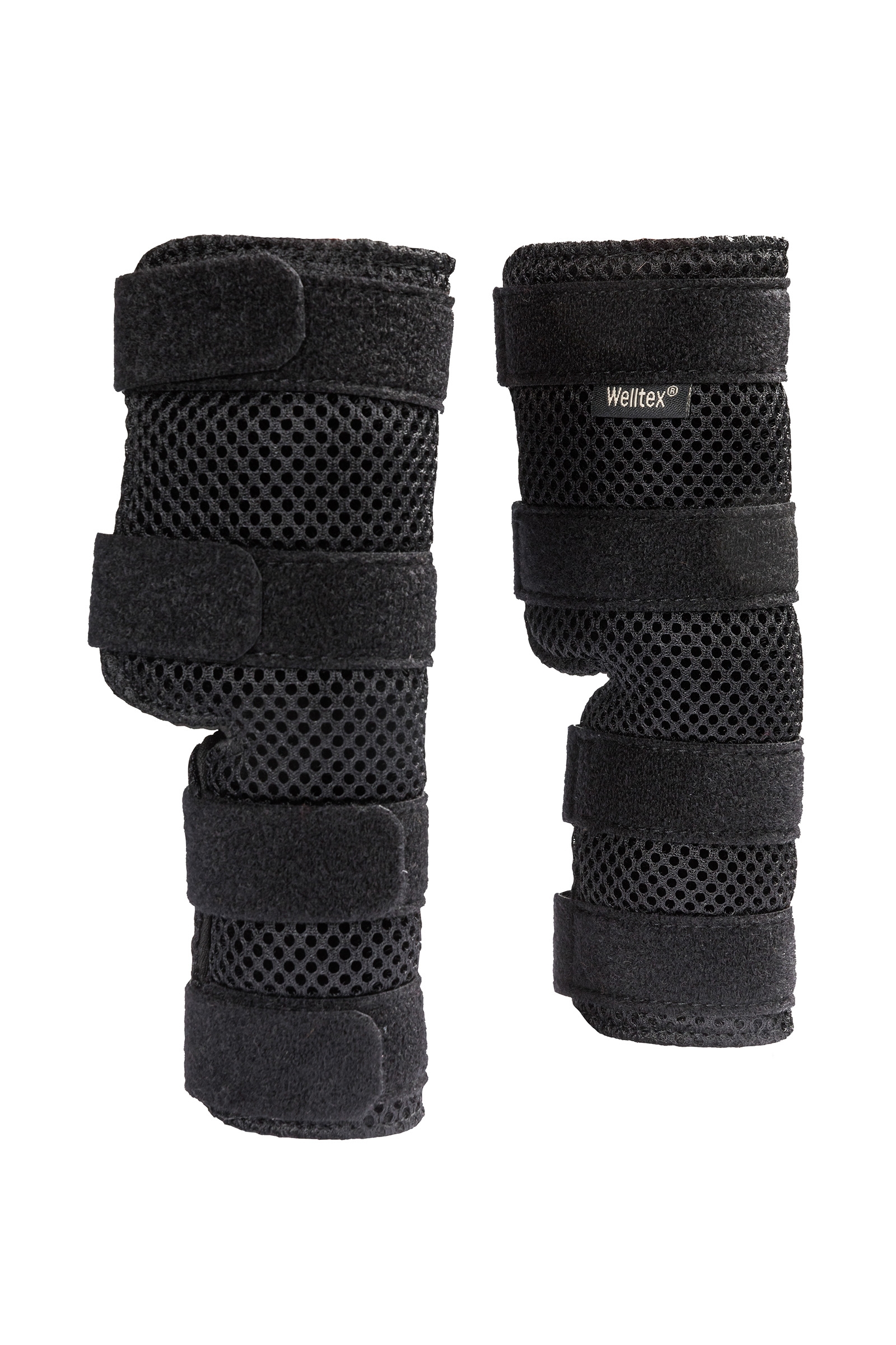 Back on Track Koiran kinnertuki Dixie