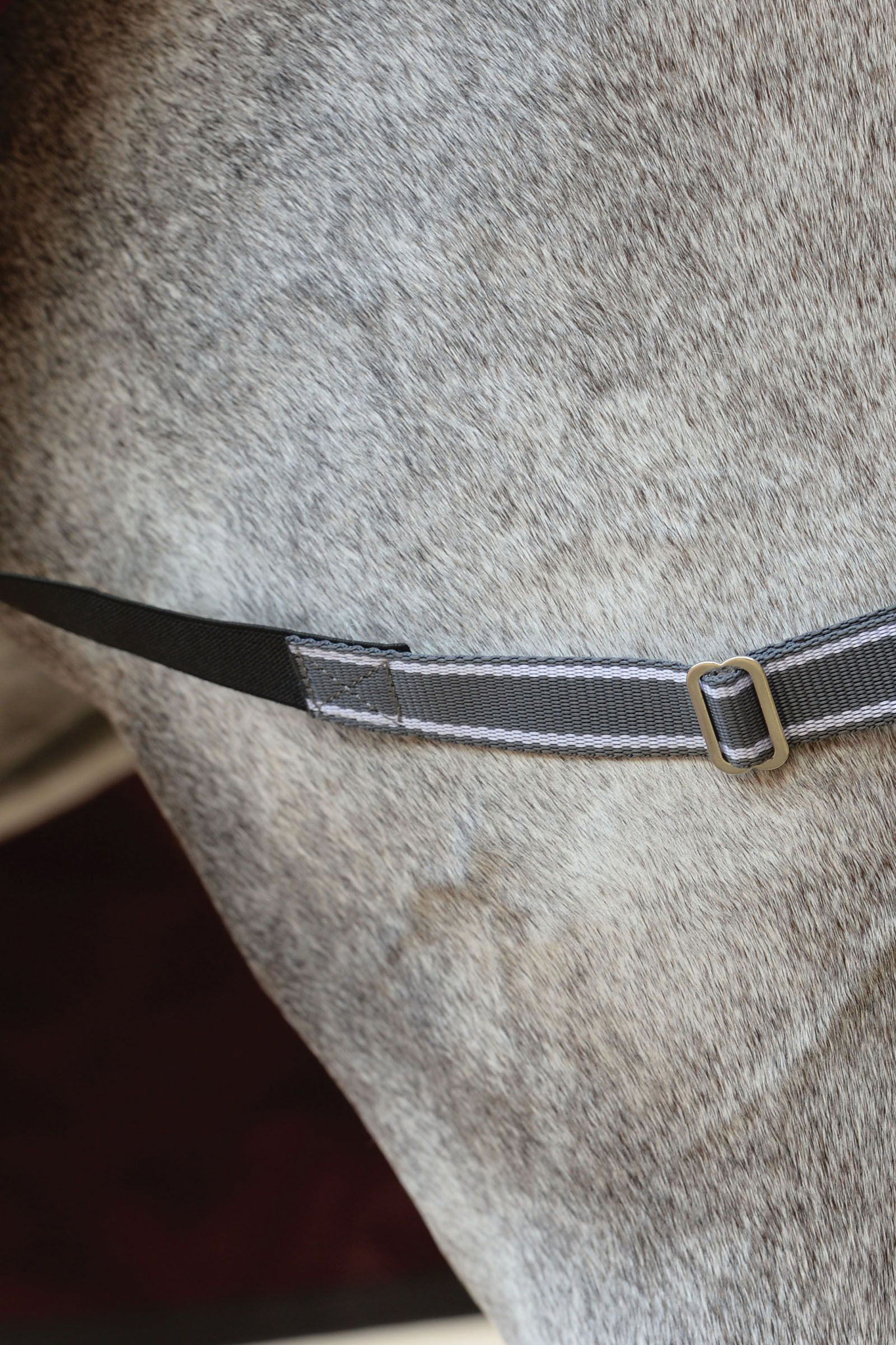 Weatherbeeta Comfitec Plus Dynamic II Combo ulkoloimi kaulakappaleella, 220 g