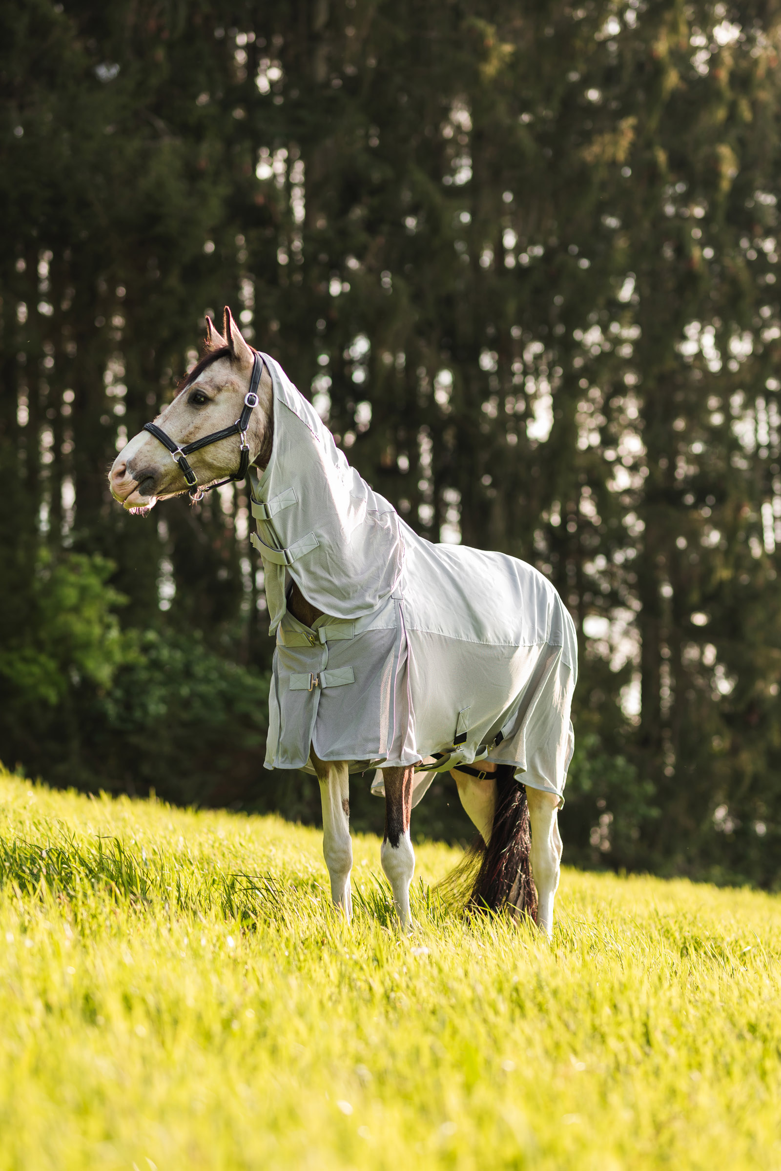 Horze Nevada Combo -sade-/ötökkäloimi