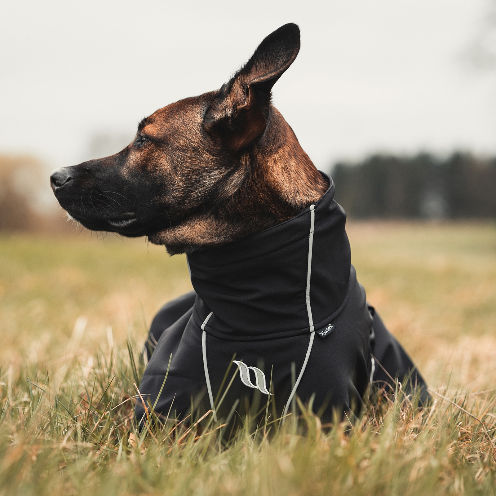 Back on Track Nella All-Round Dog Coat 55-65 cm