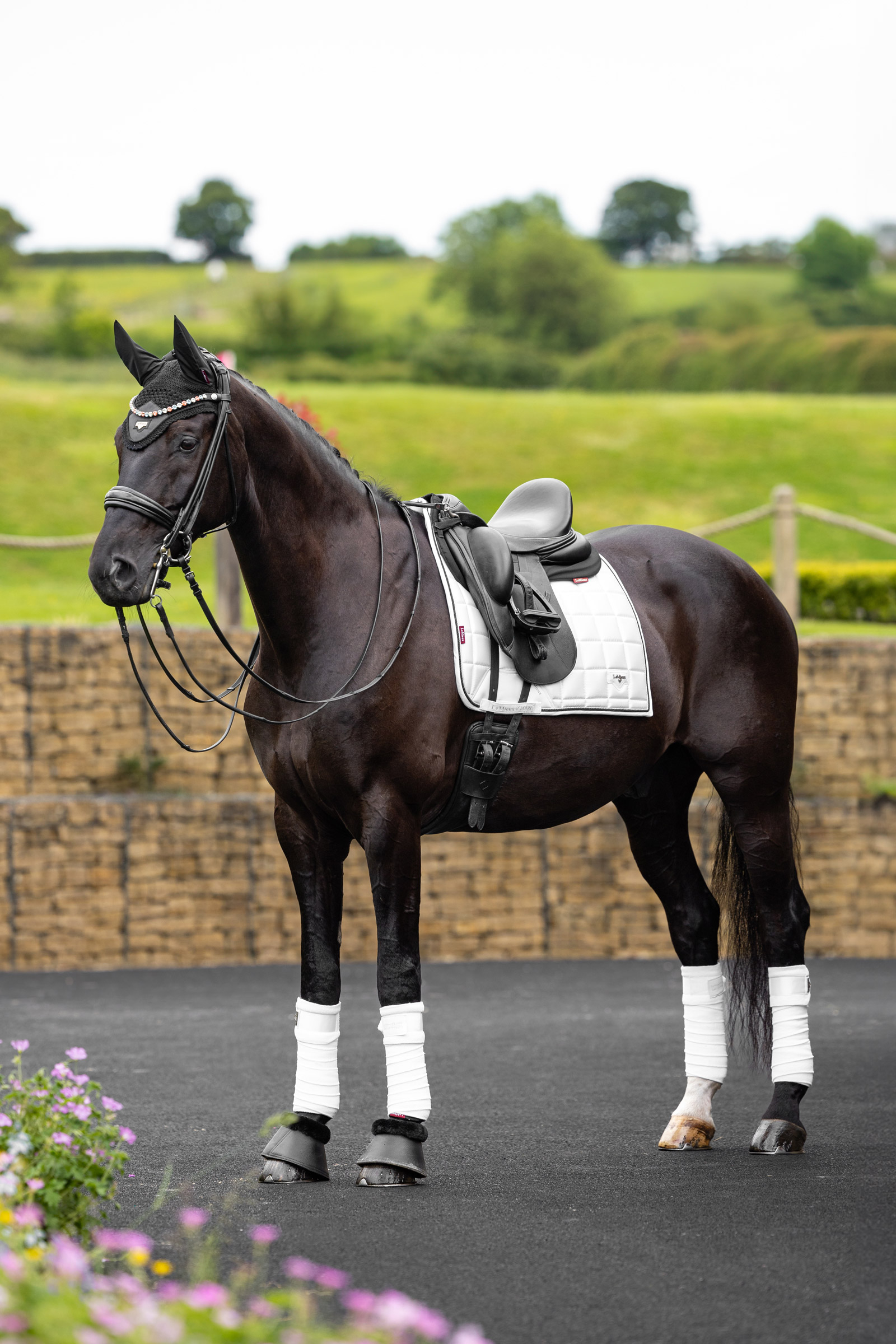 LeMieux Loire Classic Dressage Pads
