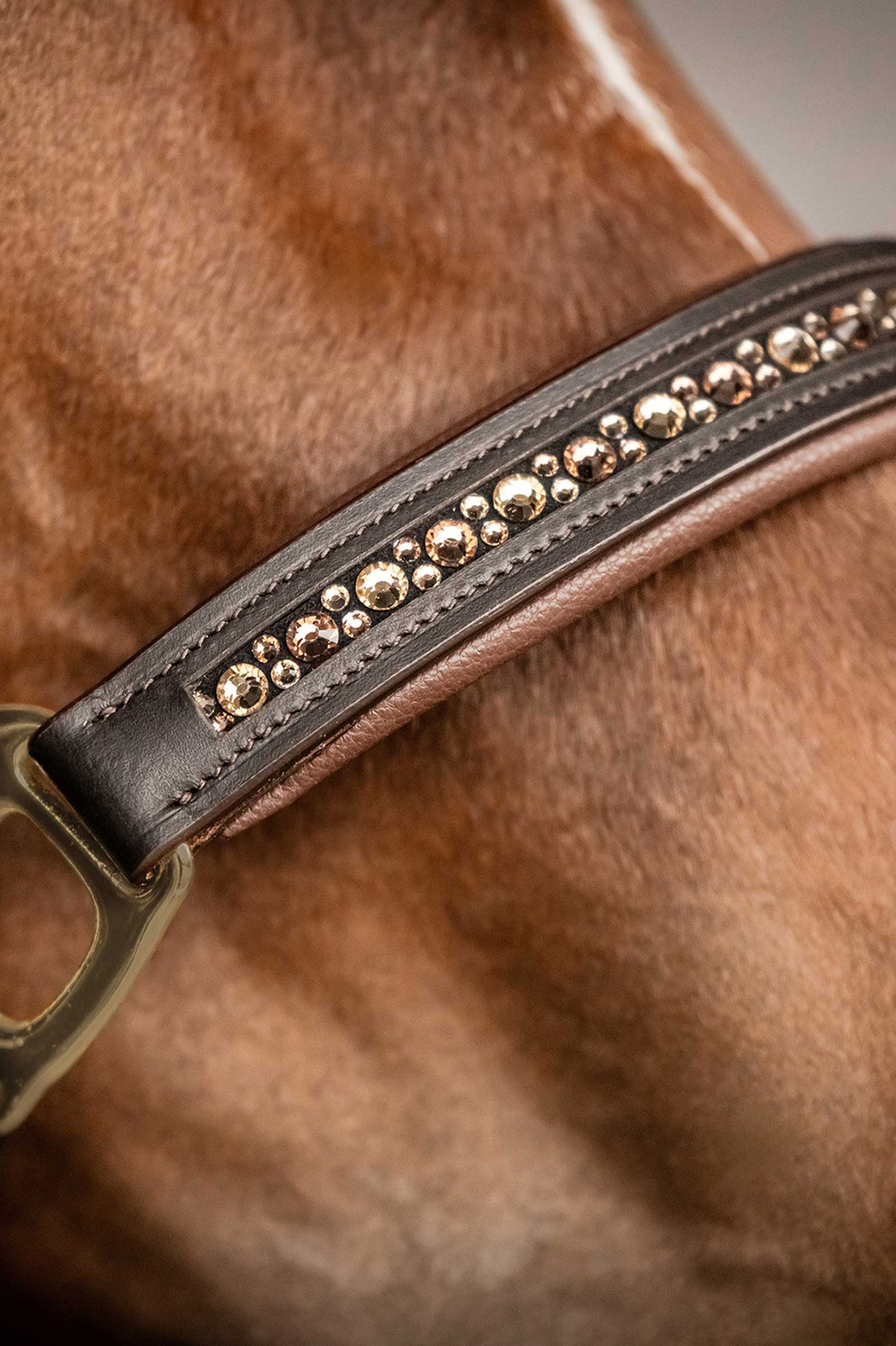 Waldhausen X-Line Crystal Nahkarihmu