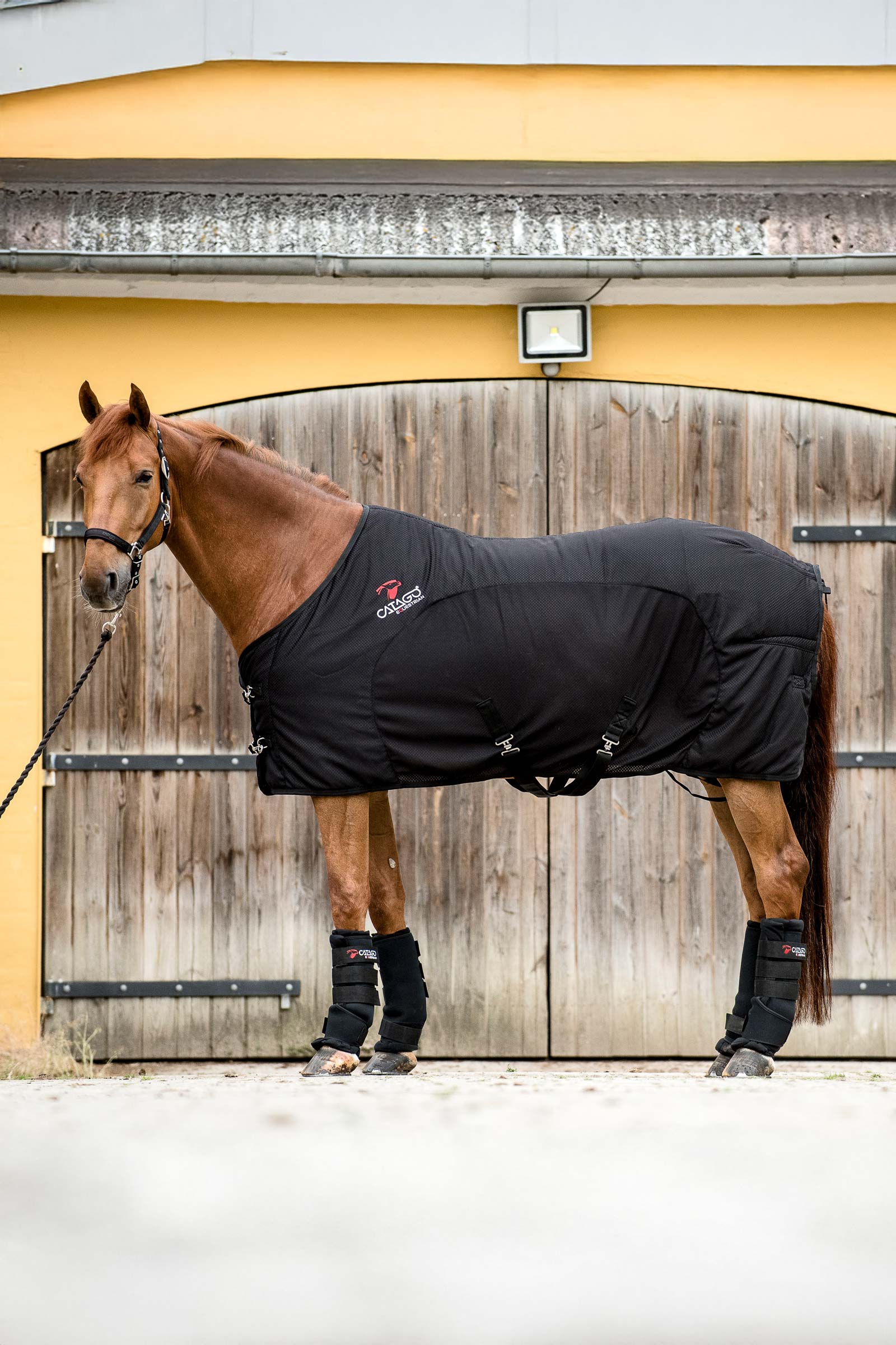 CATAGO FIR-Tech loimi