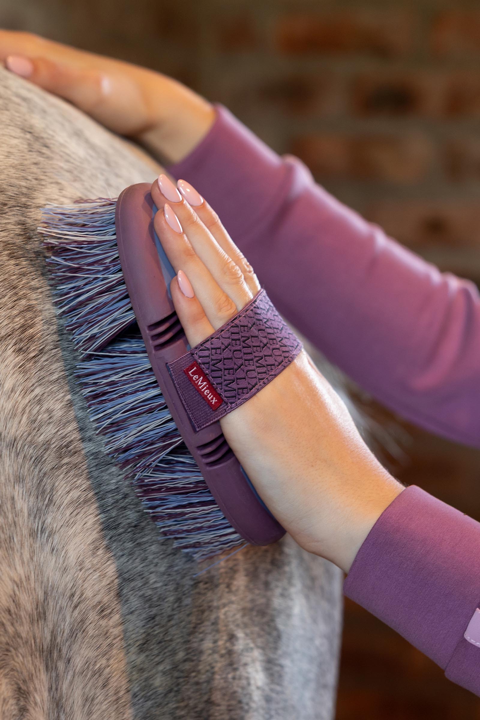 LeMieux Flexi Flicky harja