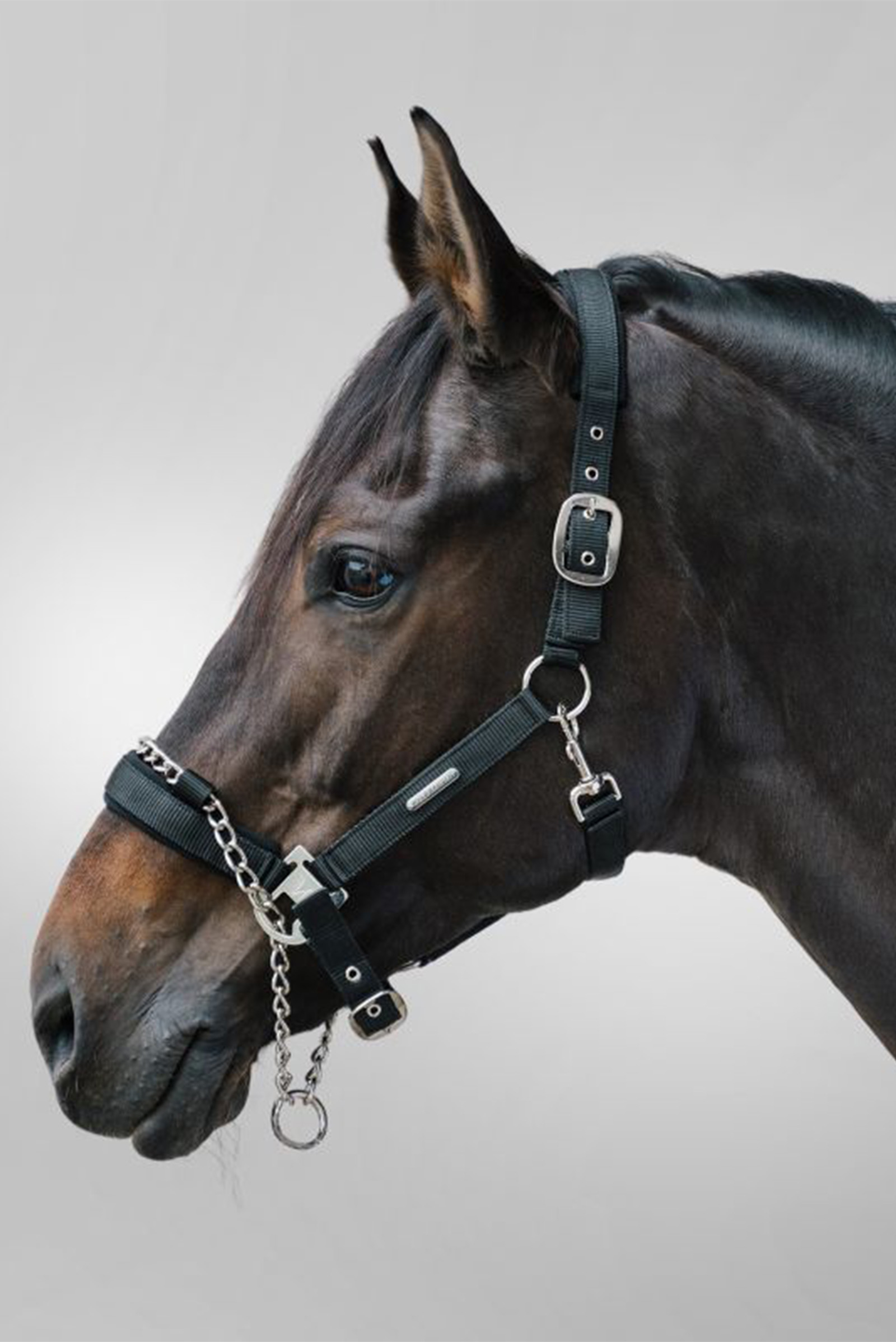 Waldhausen Pro Safety riimu