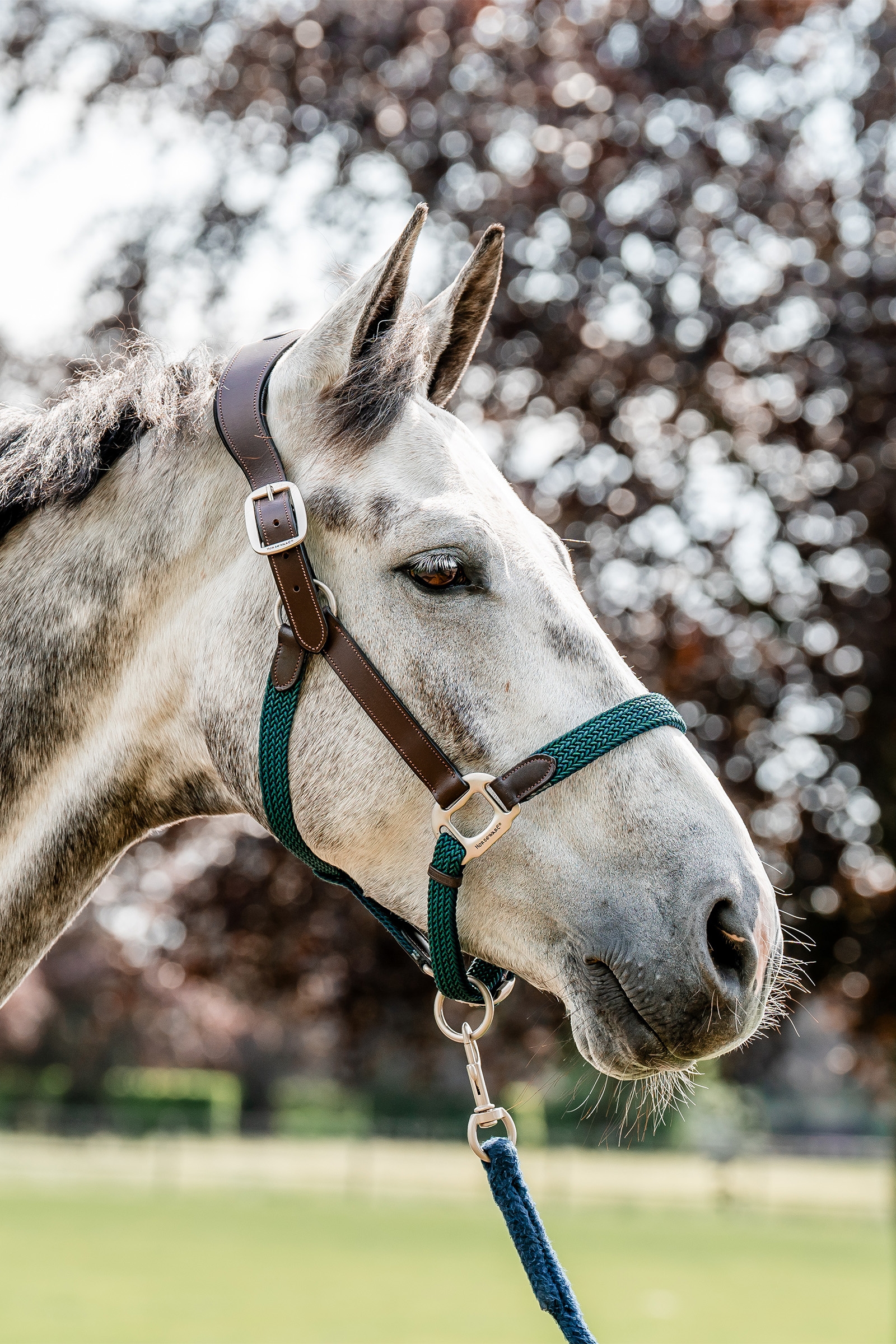 Horseware Signature Punaluinen Riimu