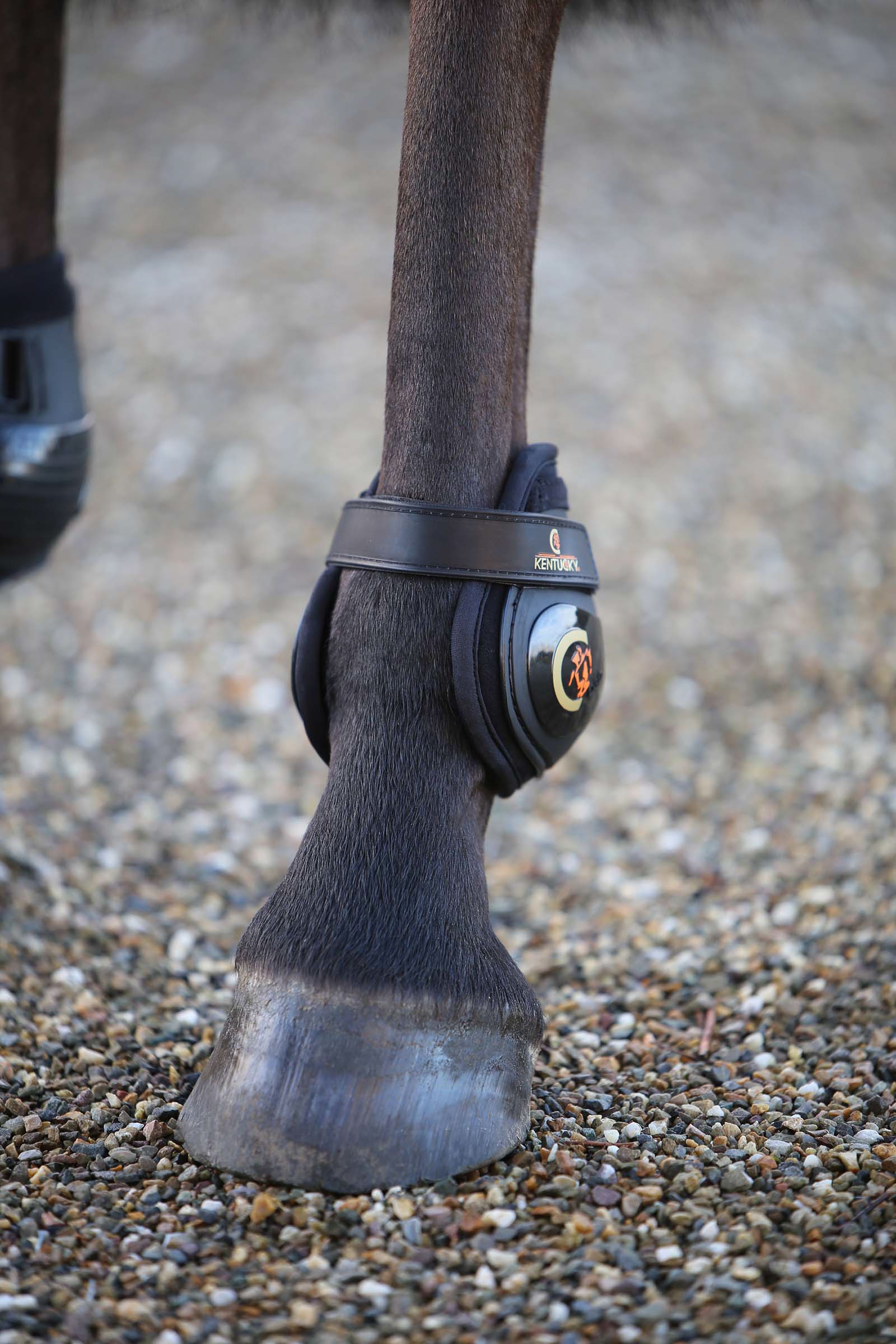 Kentucky Horsewear Moonboots, takajalan suojat