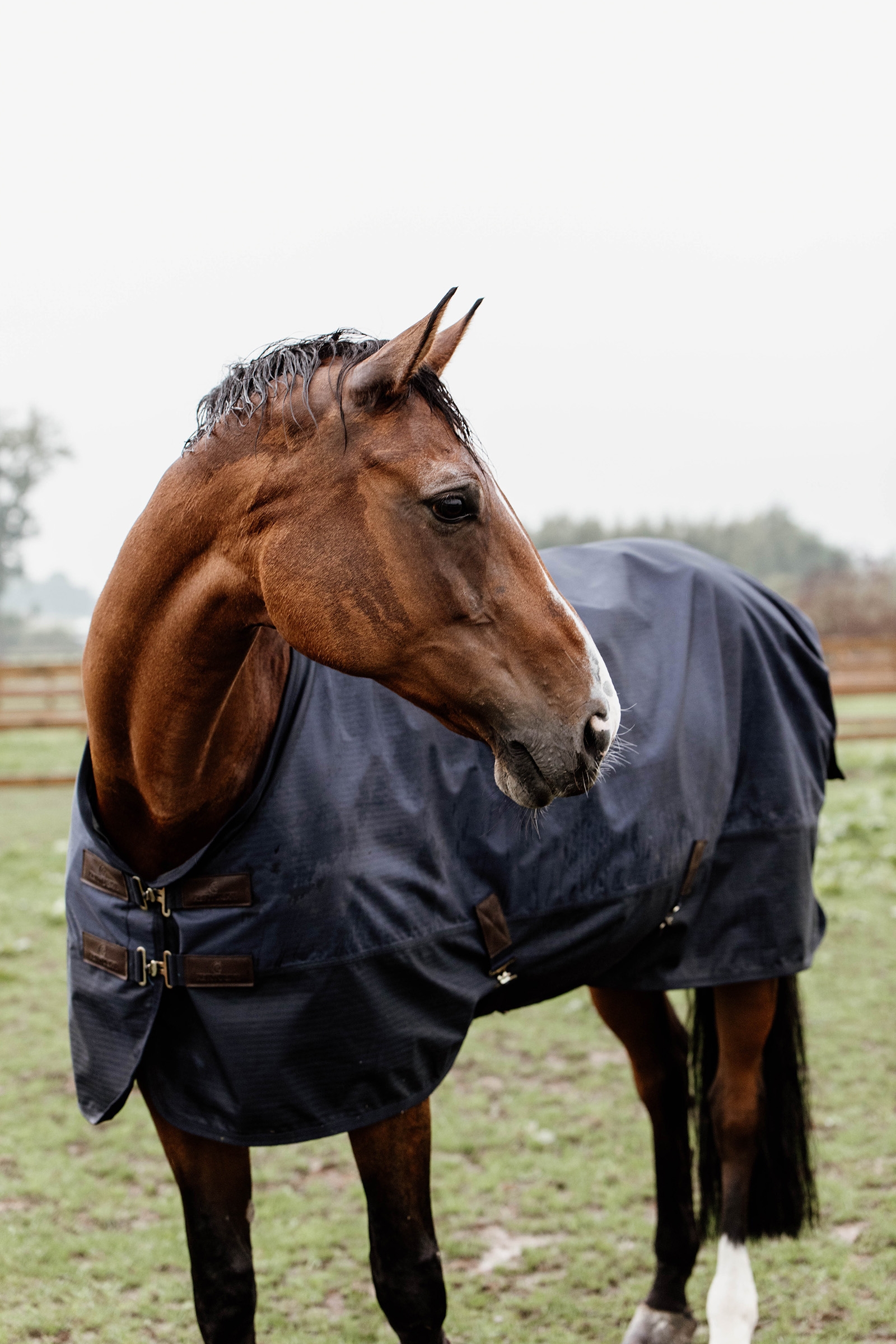 Kentucky Horsewear All Weather ulkoloimi, 300 g