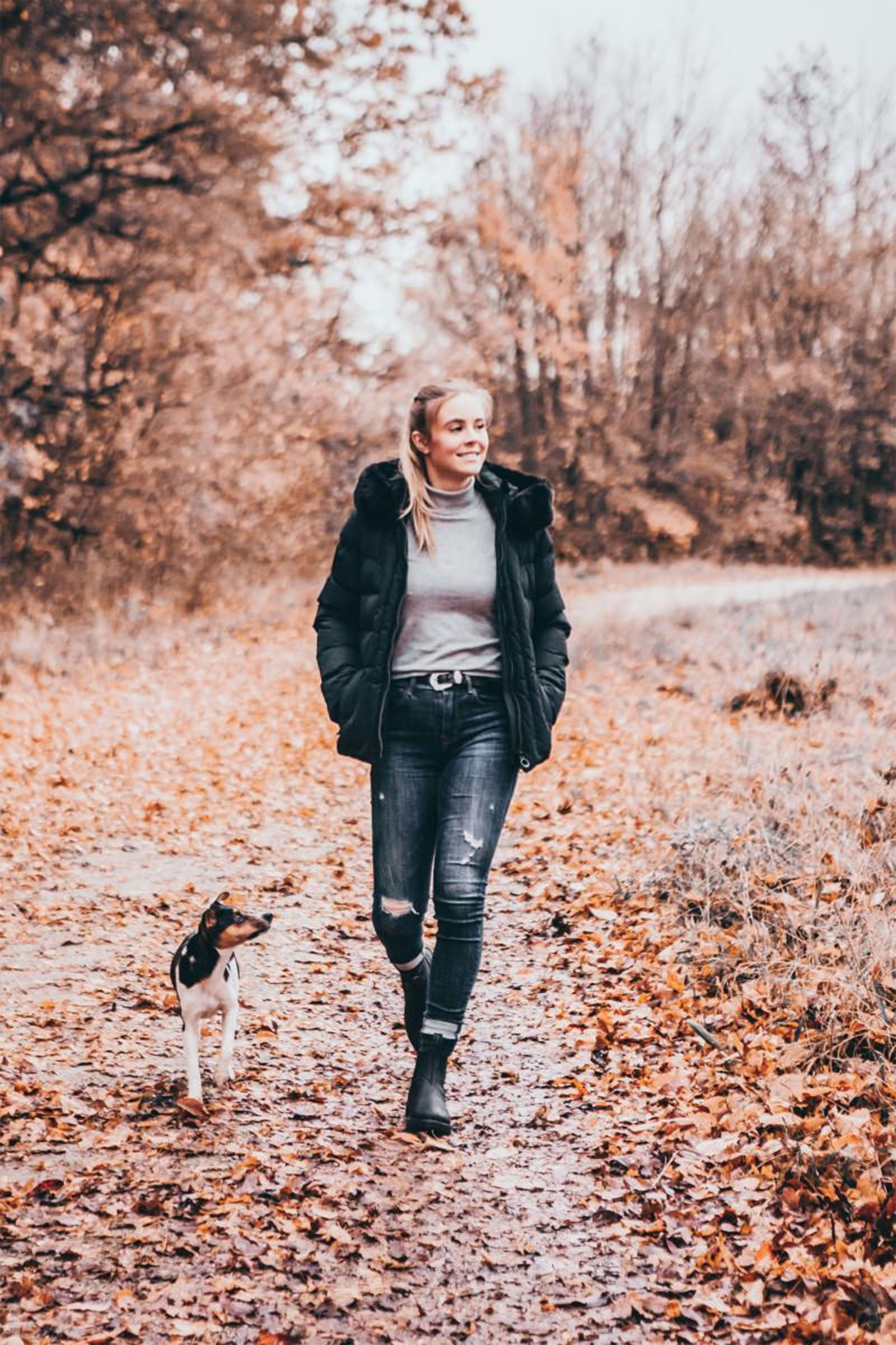 Suedwind Footwear New Work Talvi Jodhpur Kengät Chelsea