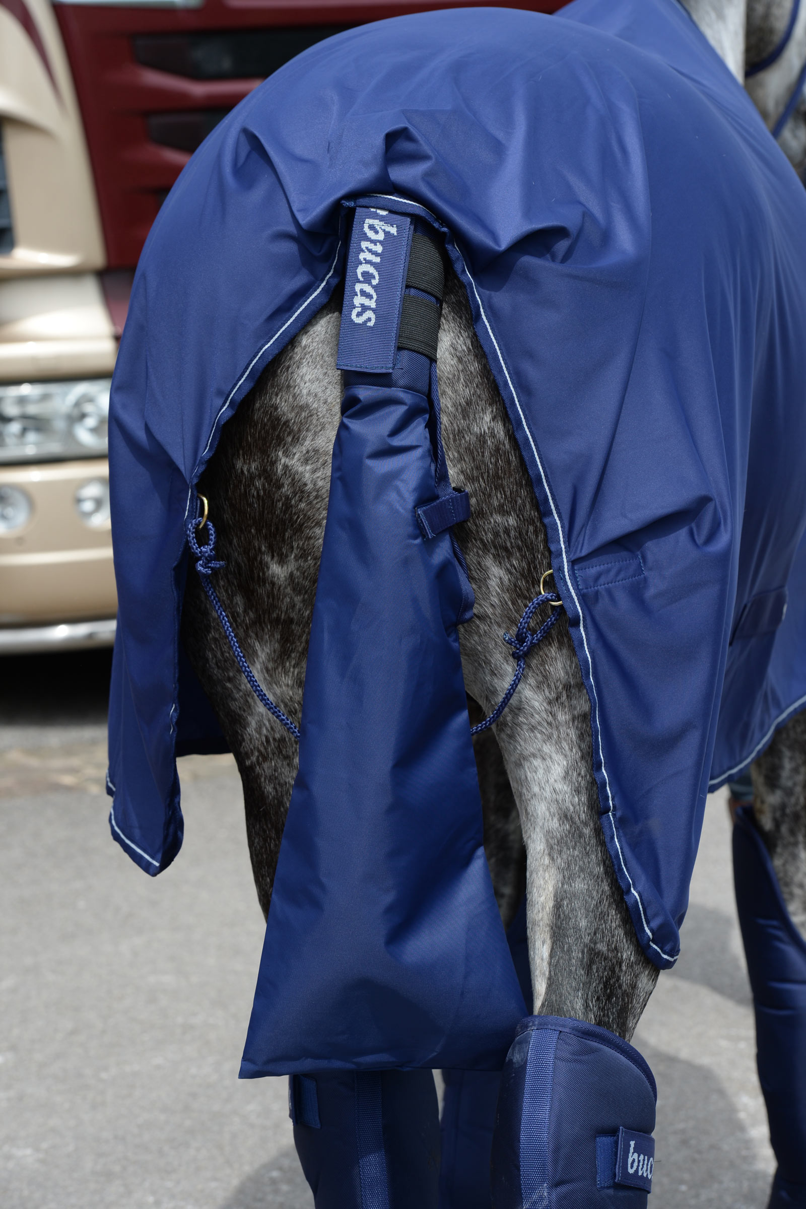 Bucas H&auml;nn&auml;nsuoja & H&auml;nn&auml;nlaukku