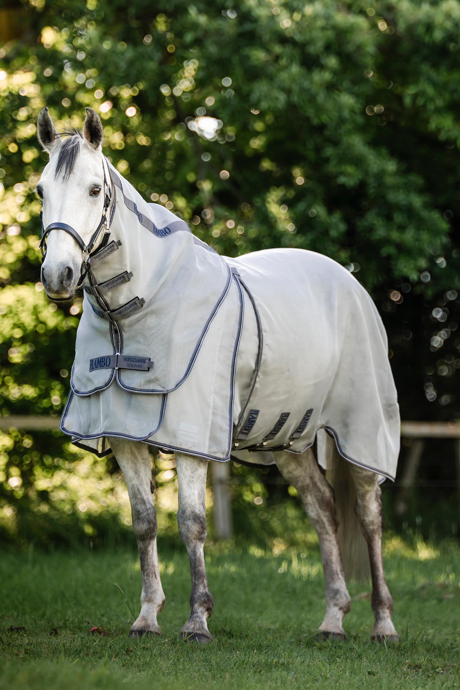 Horseware Rambo Optimo Protector Plus loimi