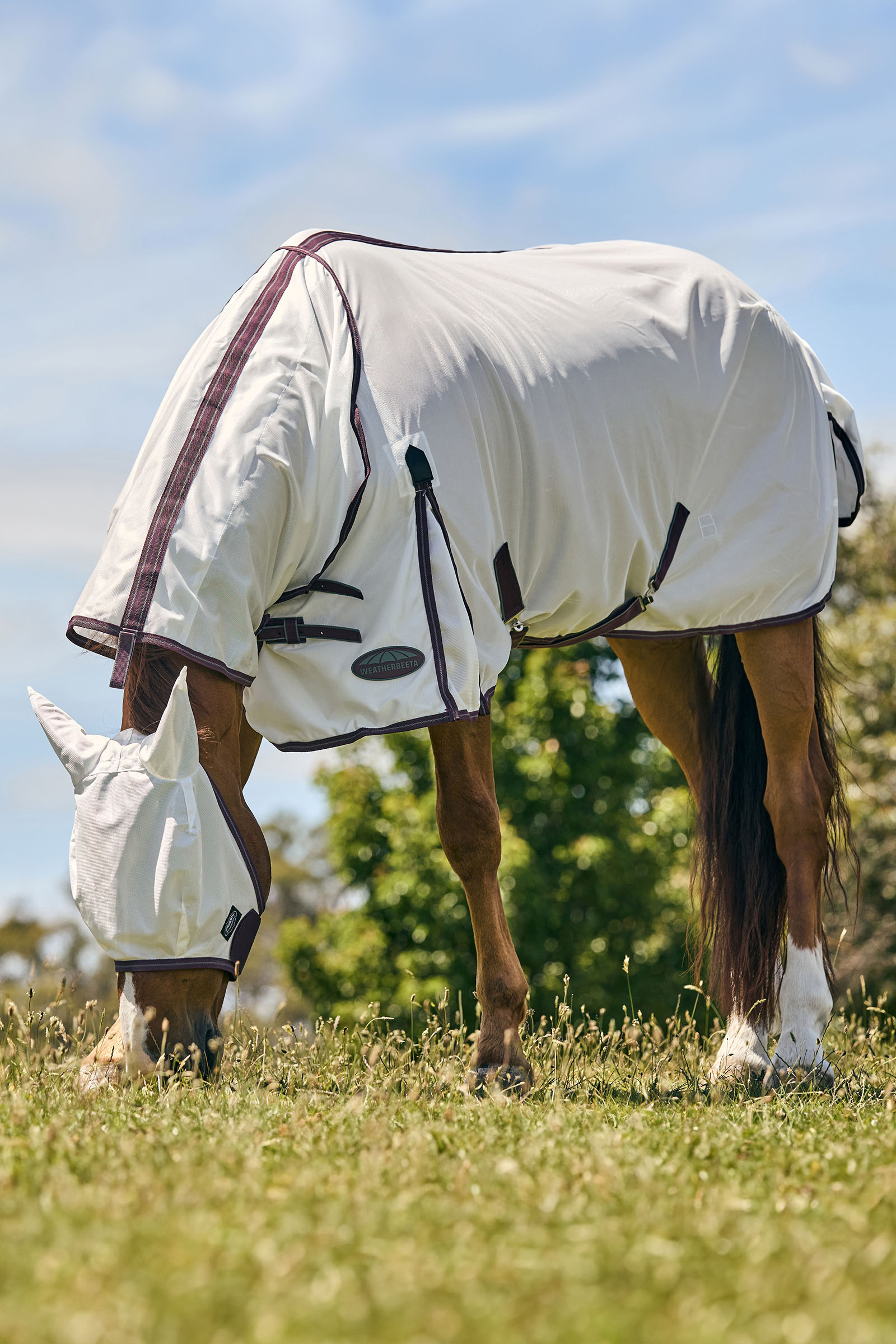 Weatherbeeta Comfitec Essential Mesh maski