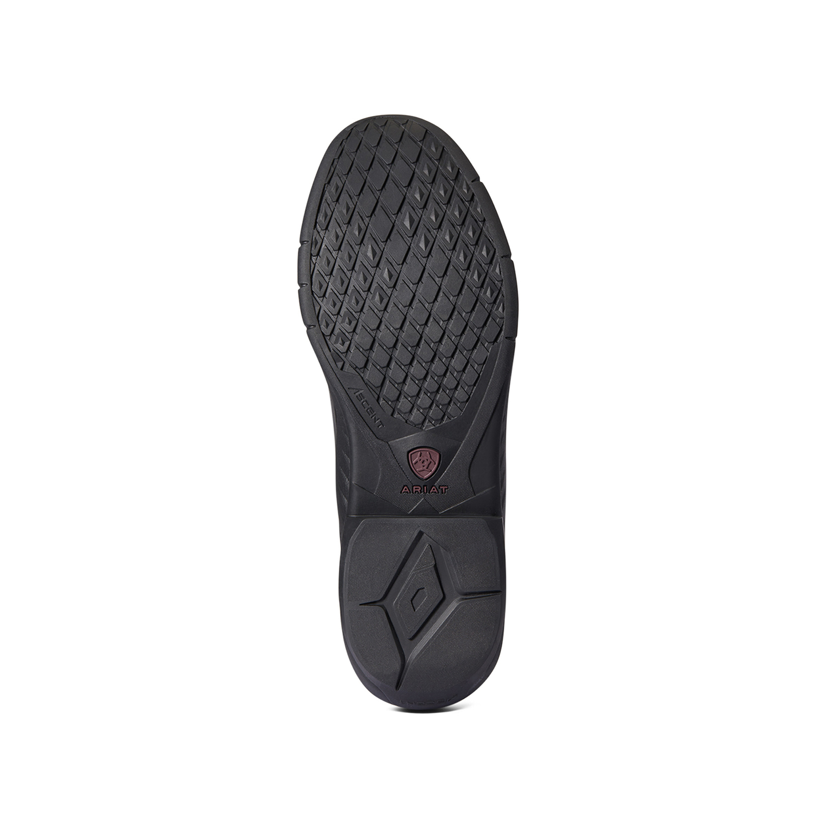 Ariat Ascent H2O miesten jodhpurit