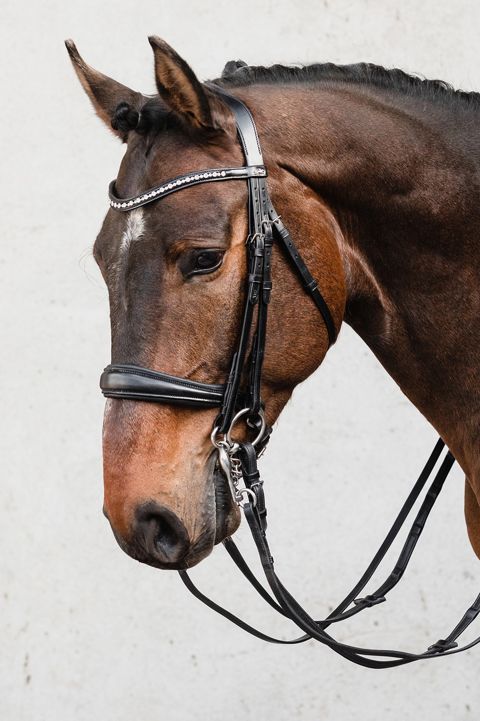 Schockem&ouml;hle Sports Milton Anatomic  Double Bridle
