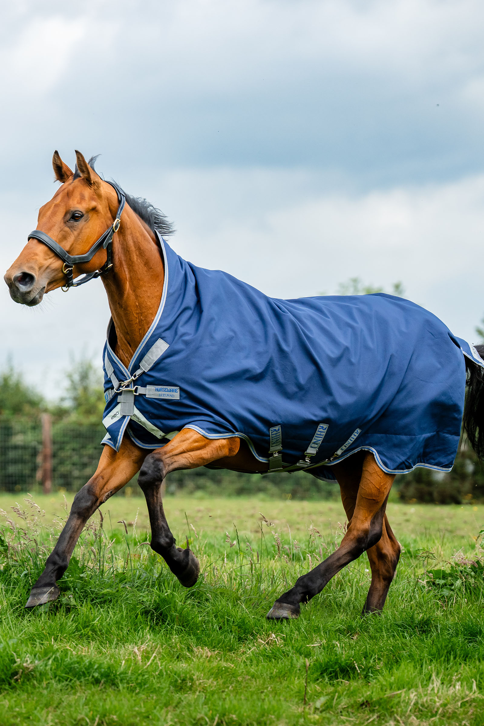 Navy/Titanium Grey & Classic Blue Horseware Rhino Wug ulkoloimi, 100 g