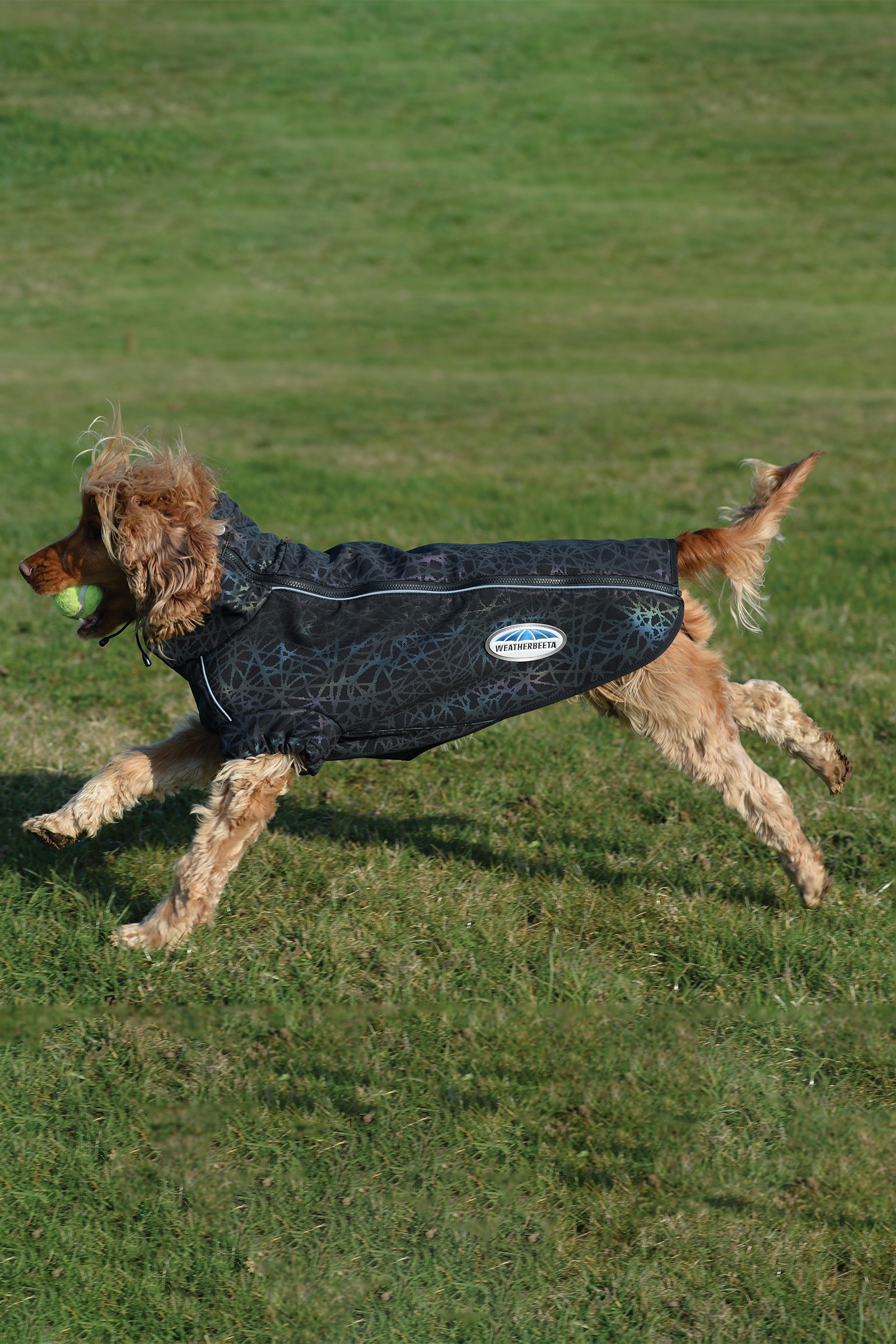Weatherbeeta Comfitec Reflective Print Active Dog Coat