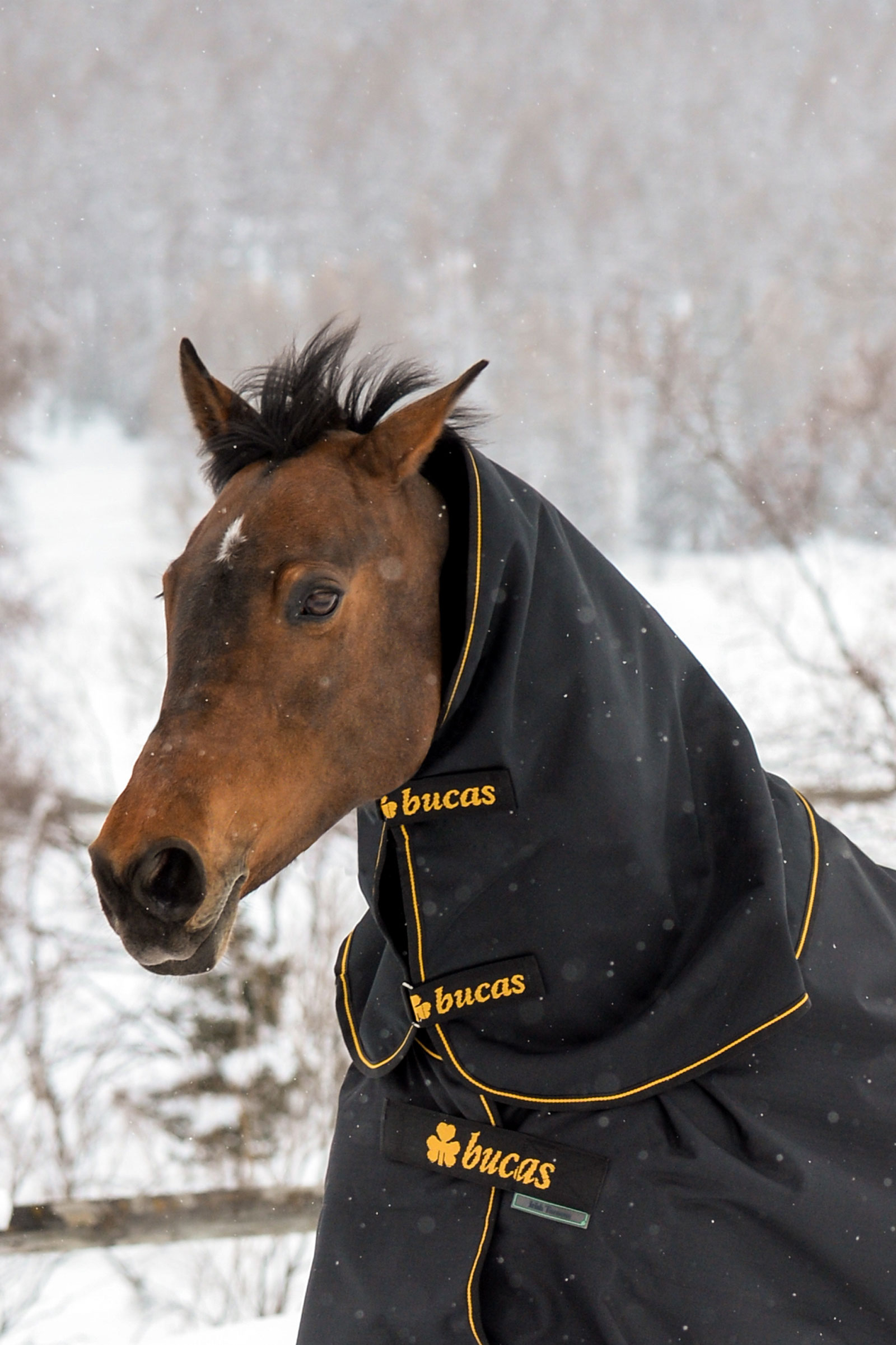 Bucas Irish Turnout kaulakappale, 300g