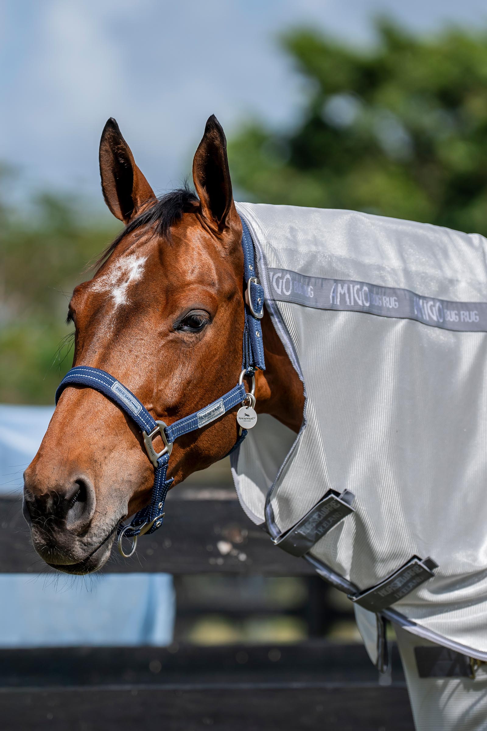 Horseware Amigo kaulakappale hy&ouml;nteisloimeen, UV-suoja