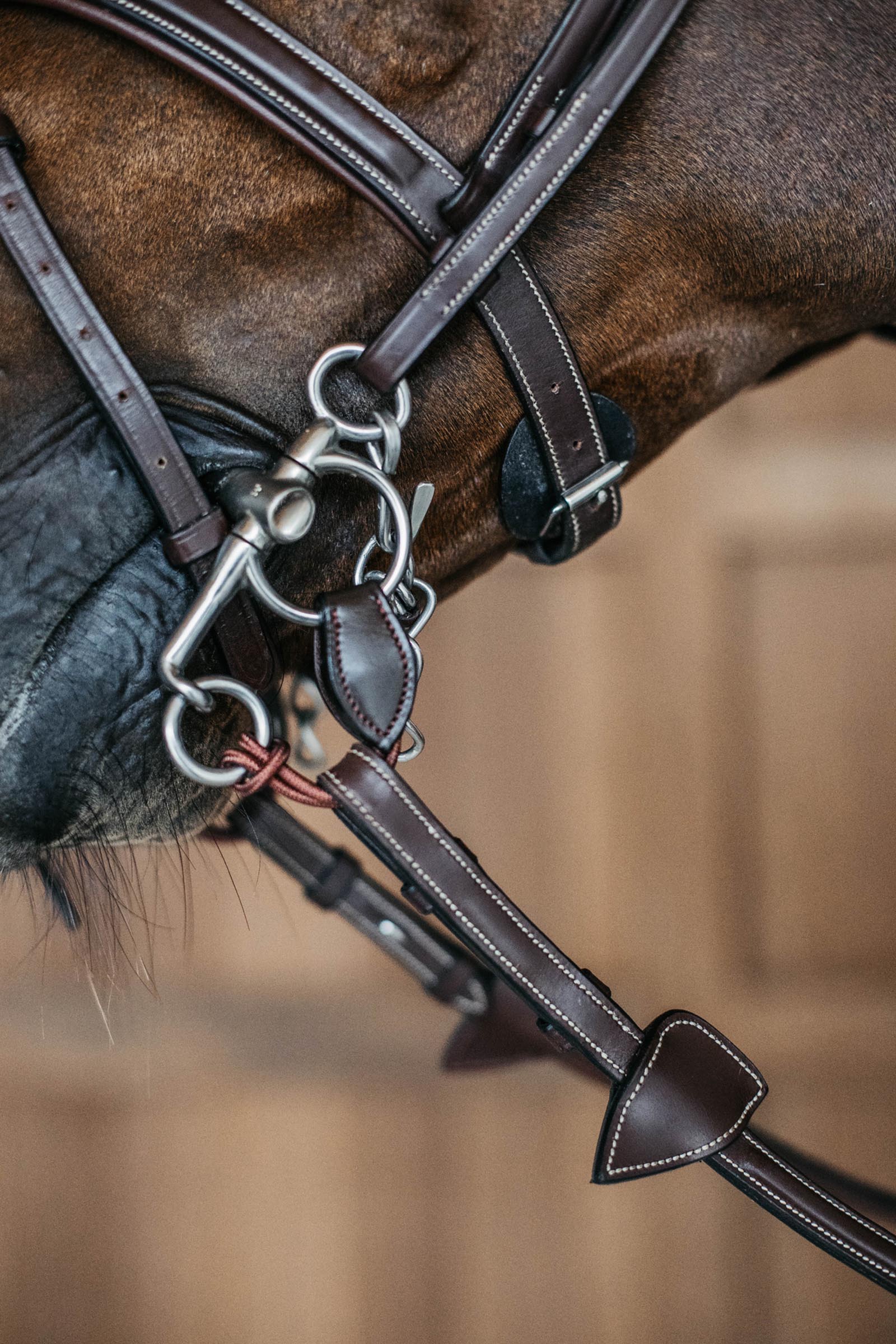 Dy'on lyhyet pelham-hihnat  