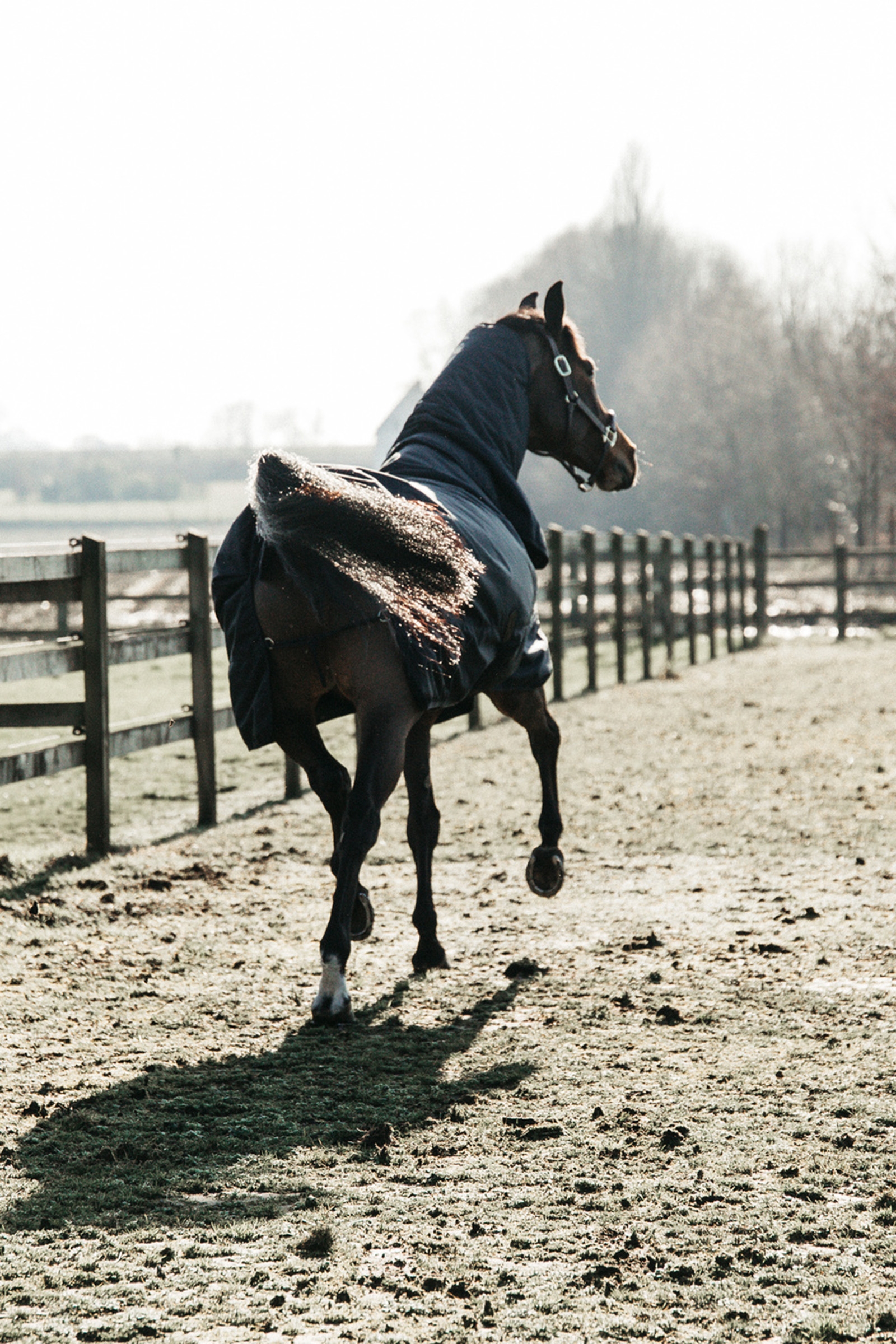 Kentucky Horsewear All Weather Waterproof Classic ulkoloimi, 50 g