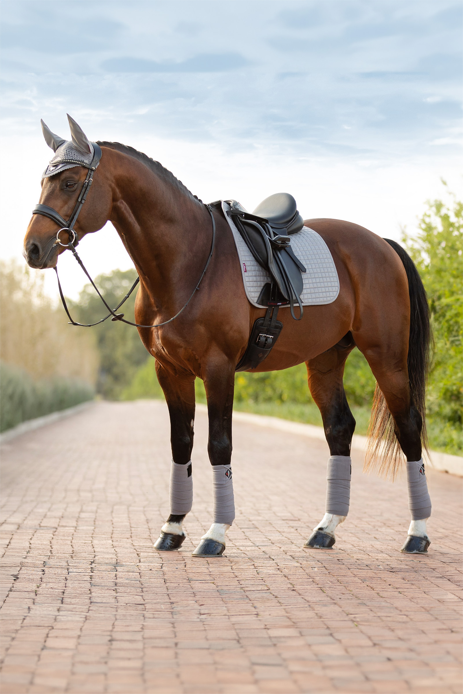 Grey LeMieux Suede koulusatulahuopa