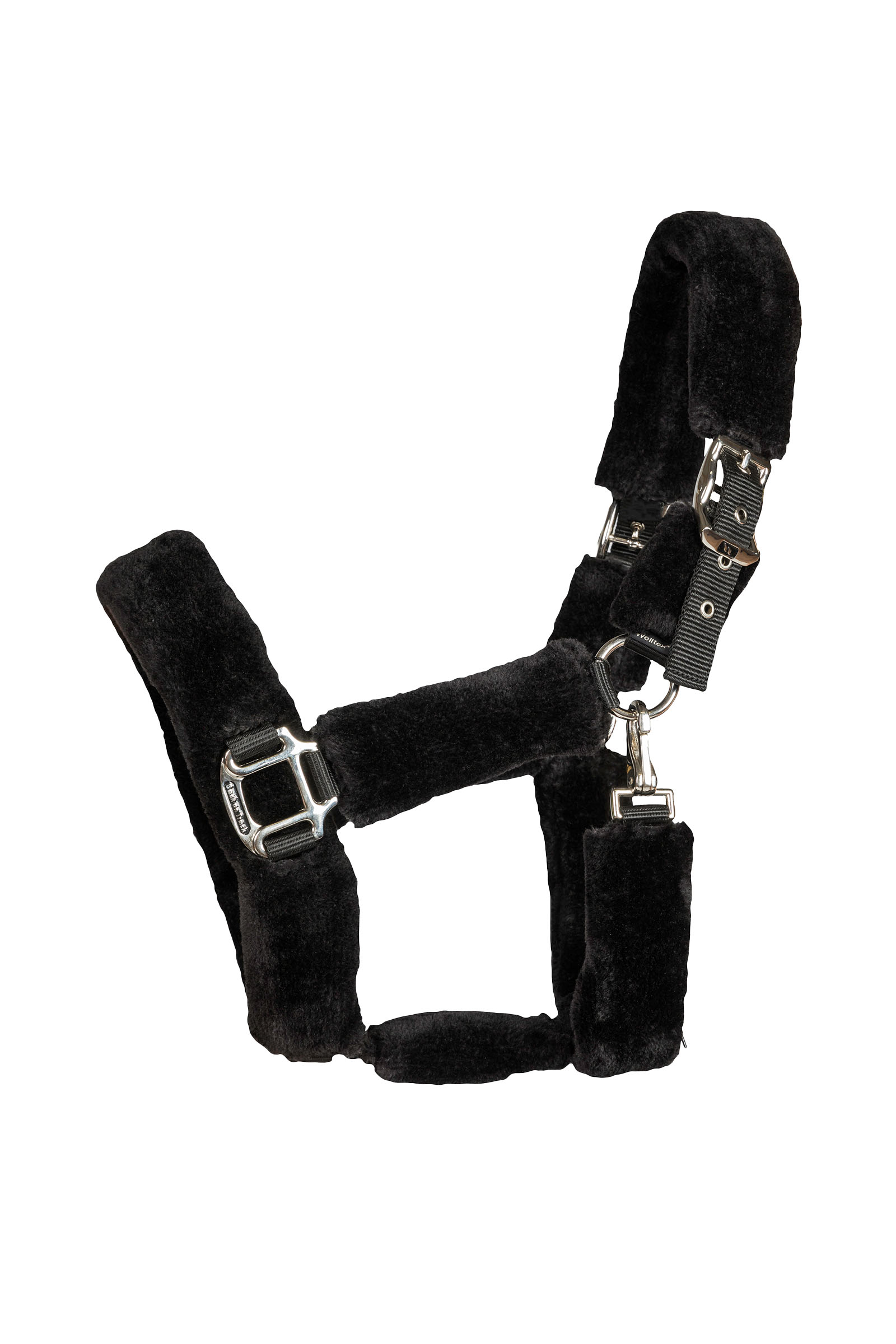 Back on Track Audrey riimu