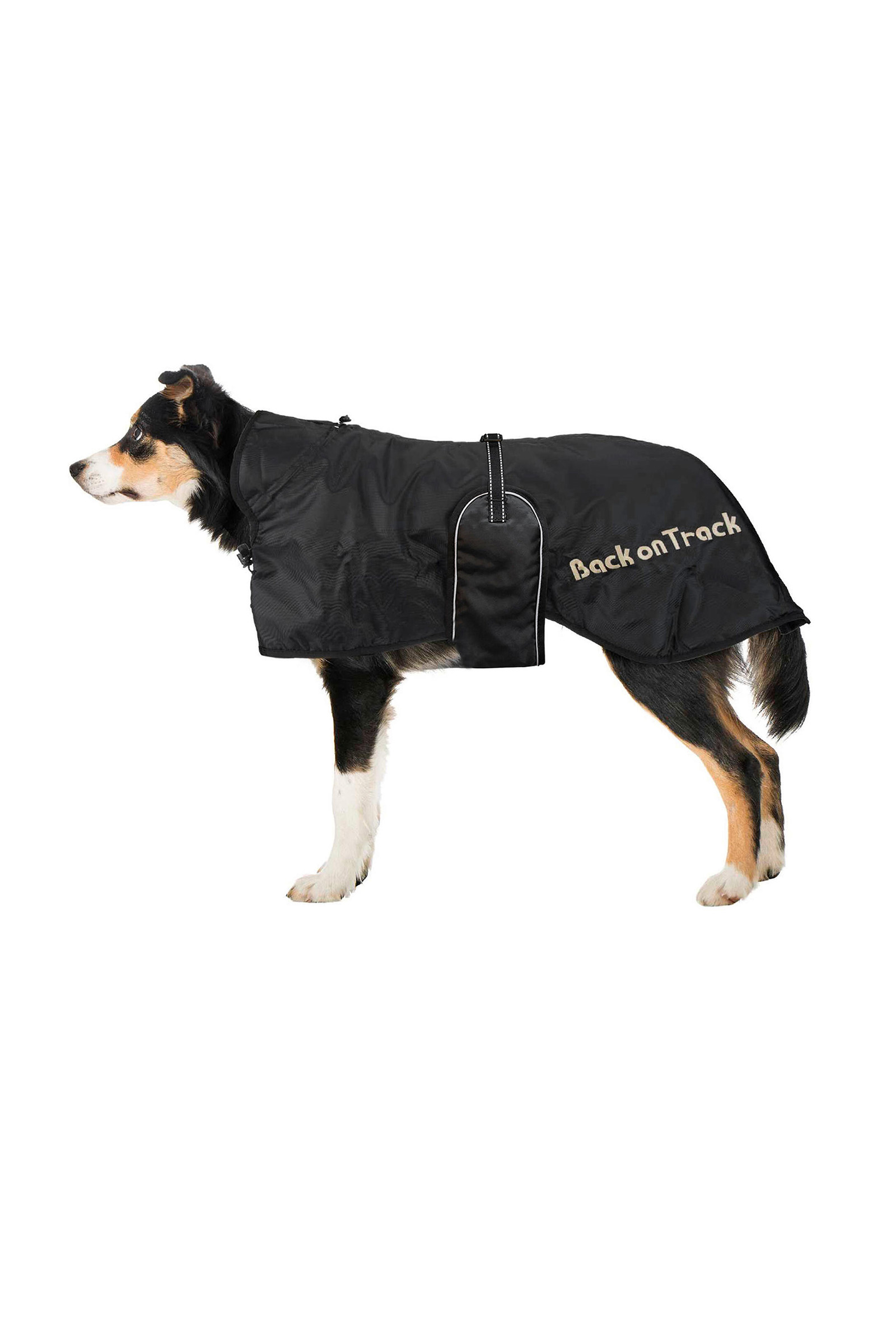 Back on Track koiranloimi (43-59)