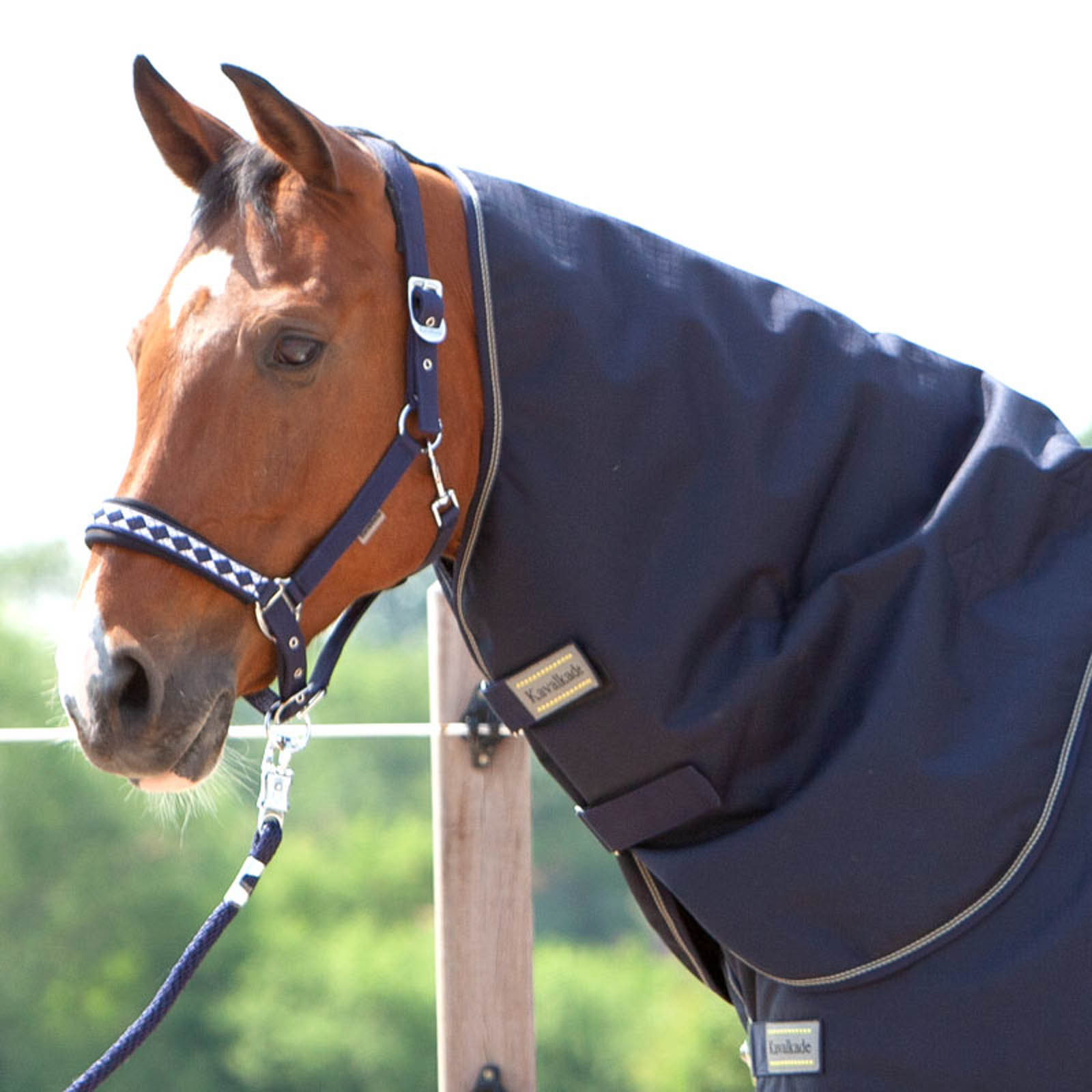 Kavalkade kaulakappale Montreal ulkoloimeen, 100 g