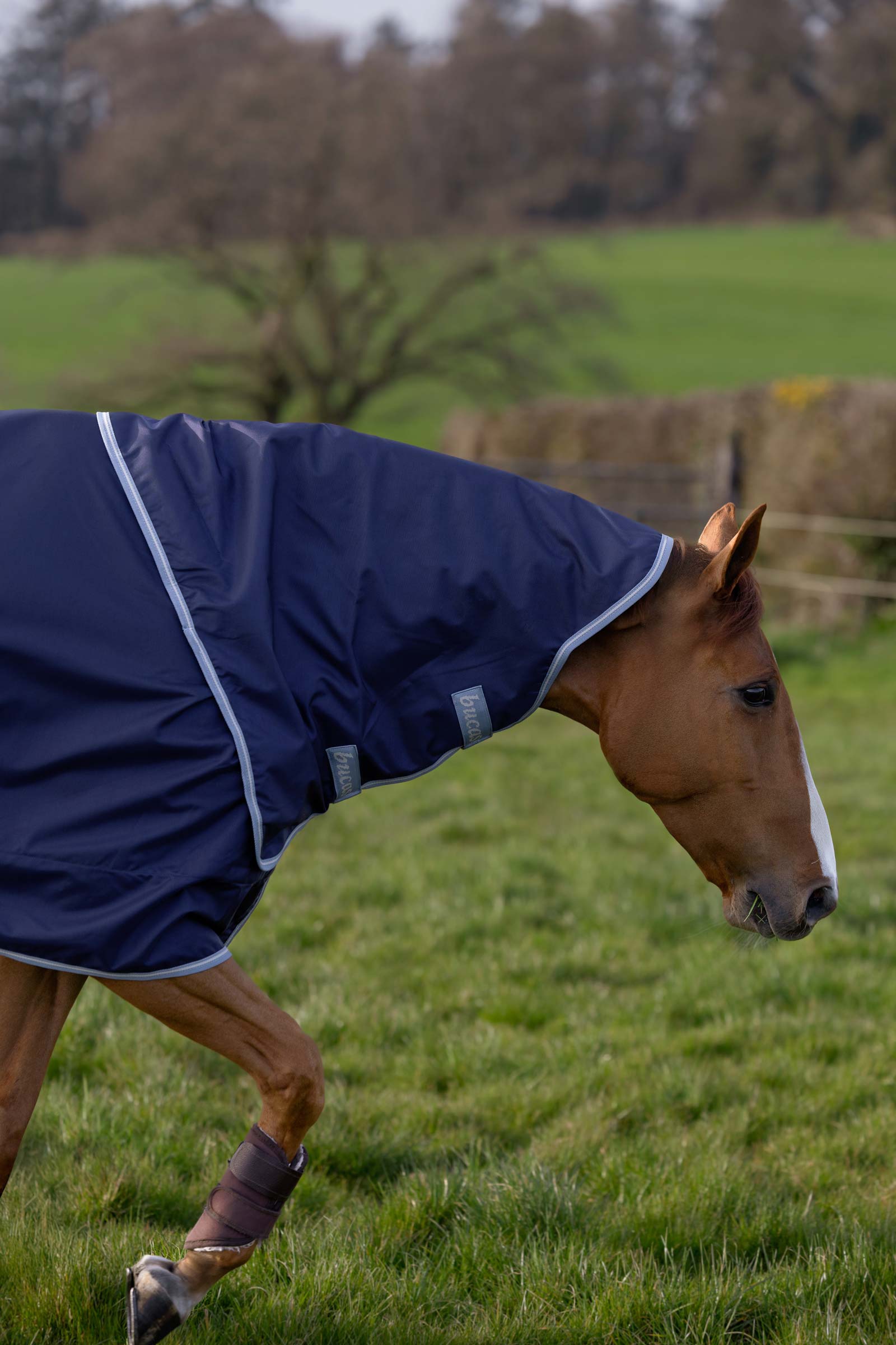 Bucas Atlantic Exclusive -loimi ja kaulahuivisarja, 0 g