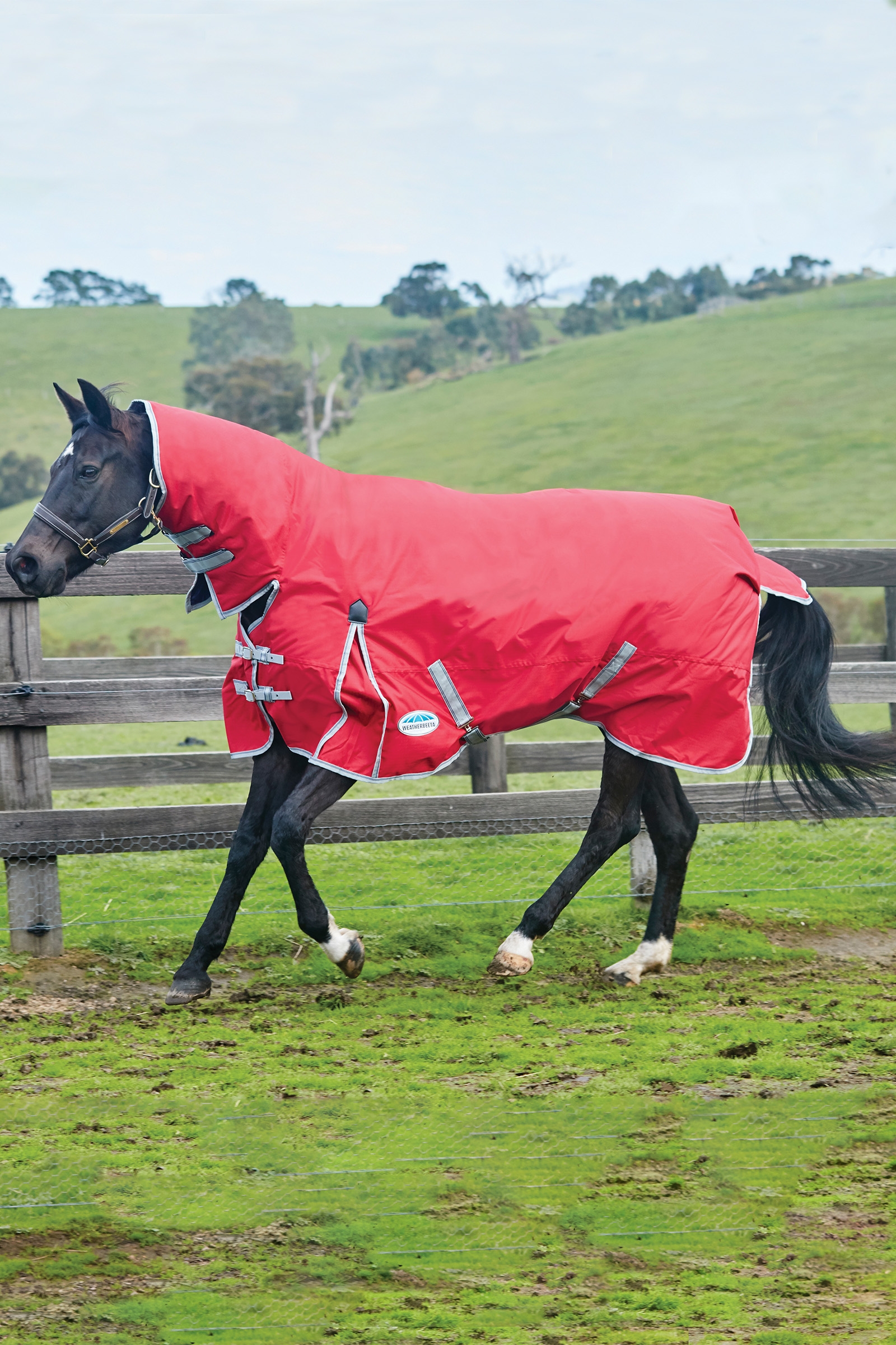 Weatherbeeta Comfitec Classic Loimi integroidulla kauluksella, 50g