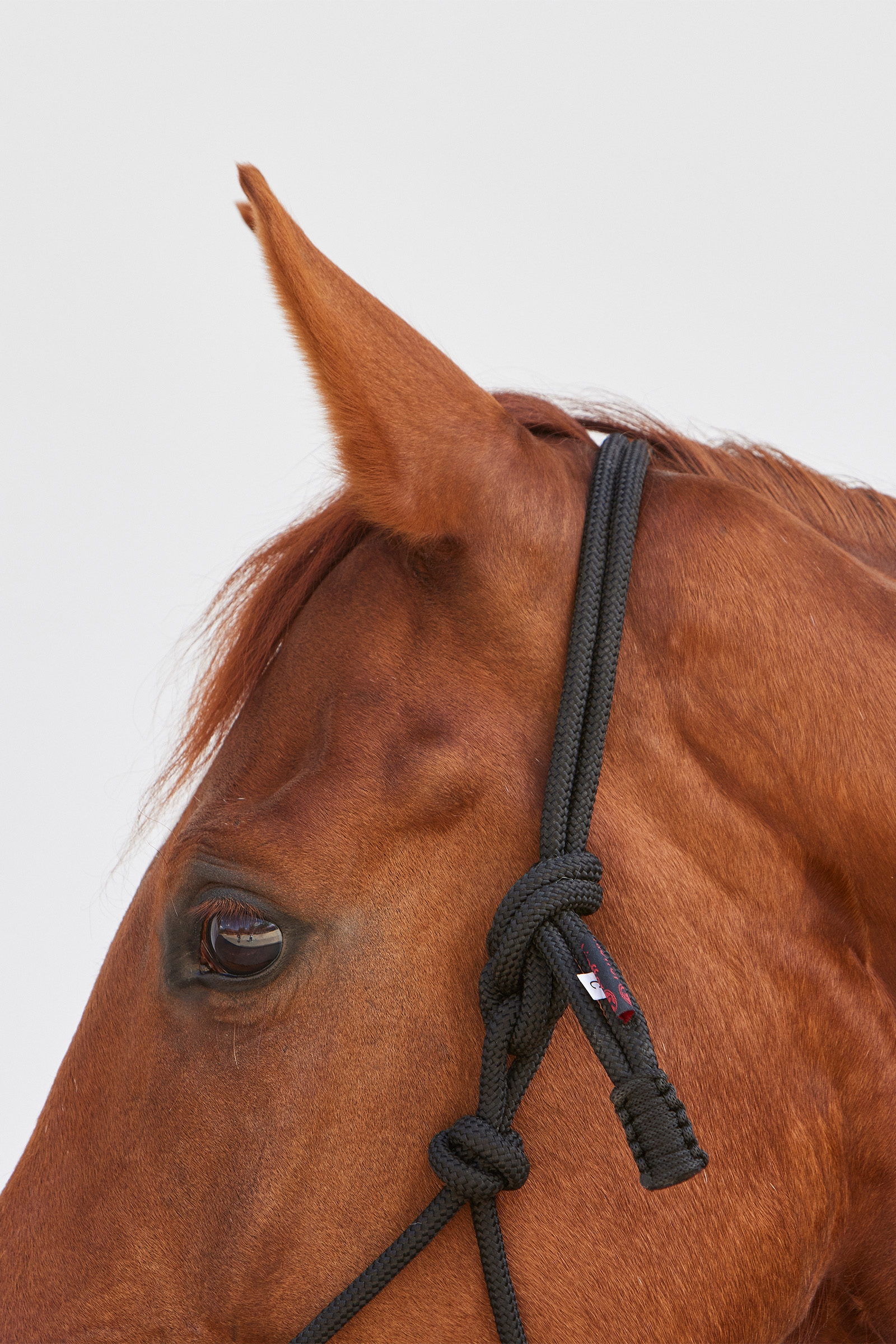 Kieffer Ruby naruriimu