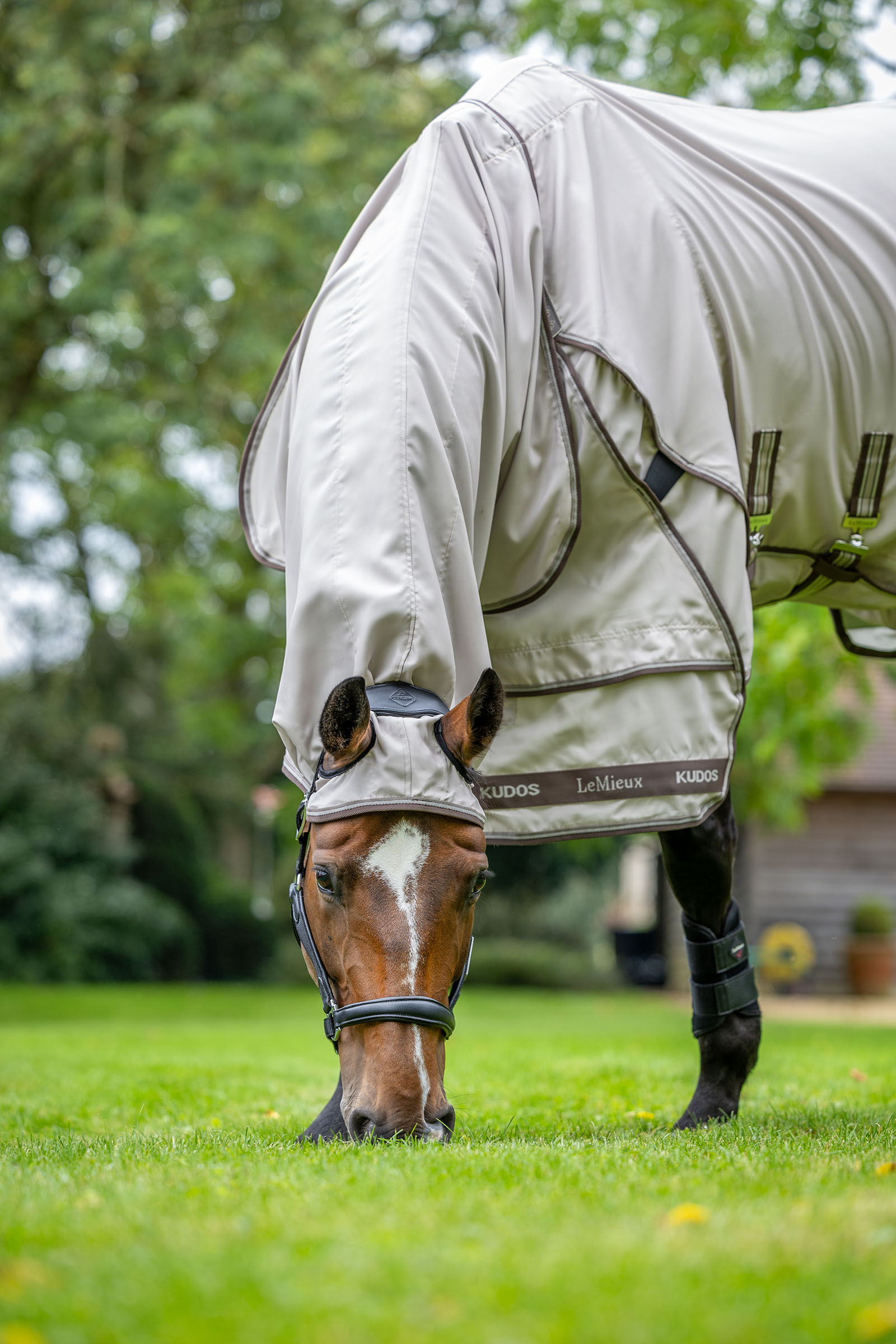 LeMieux Kudos kesäihottumaloimi