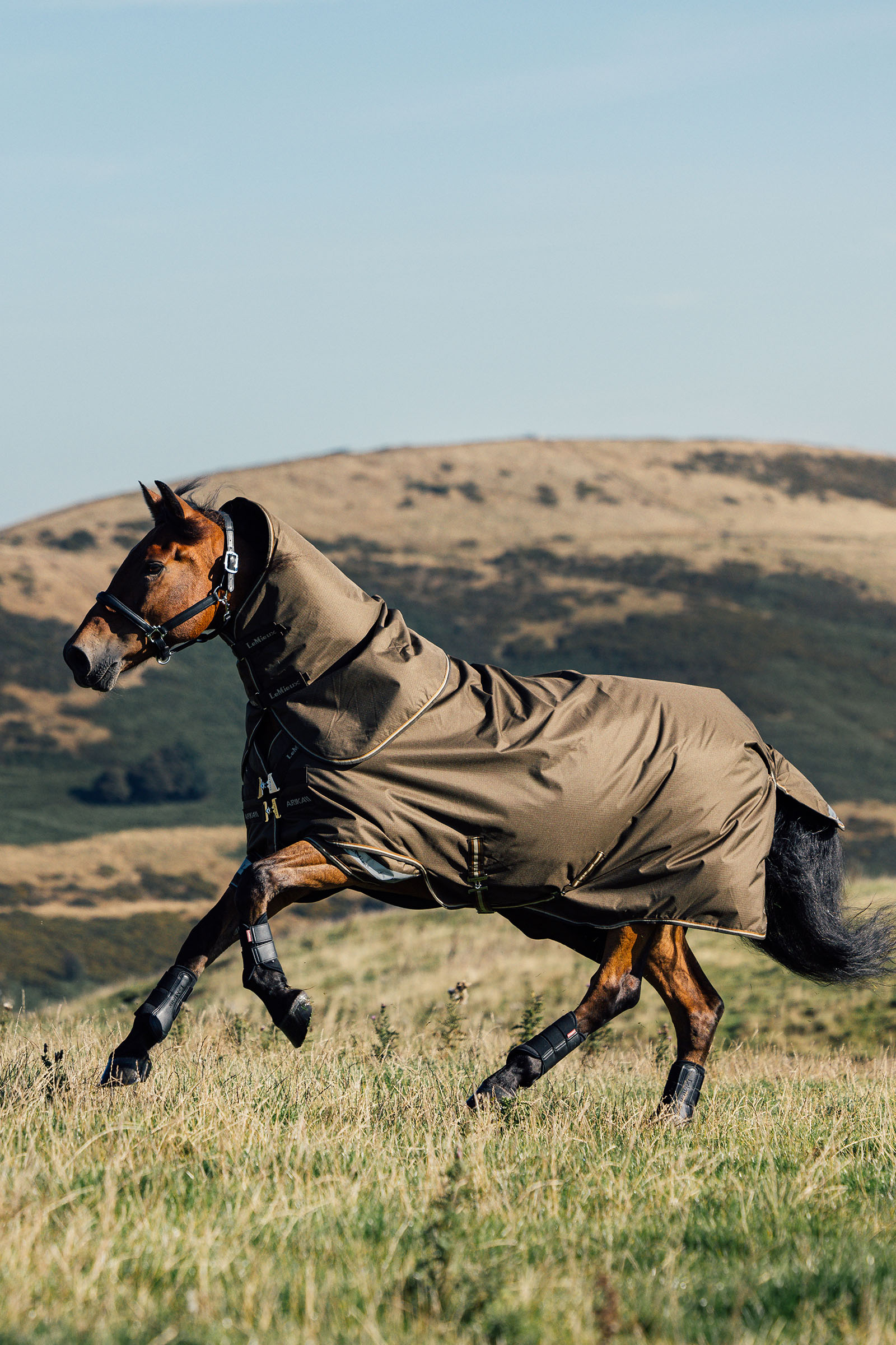 LeMieux Arika Ripstop Turnout Rug With Detachable Neck, 0 g