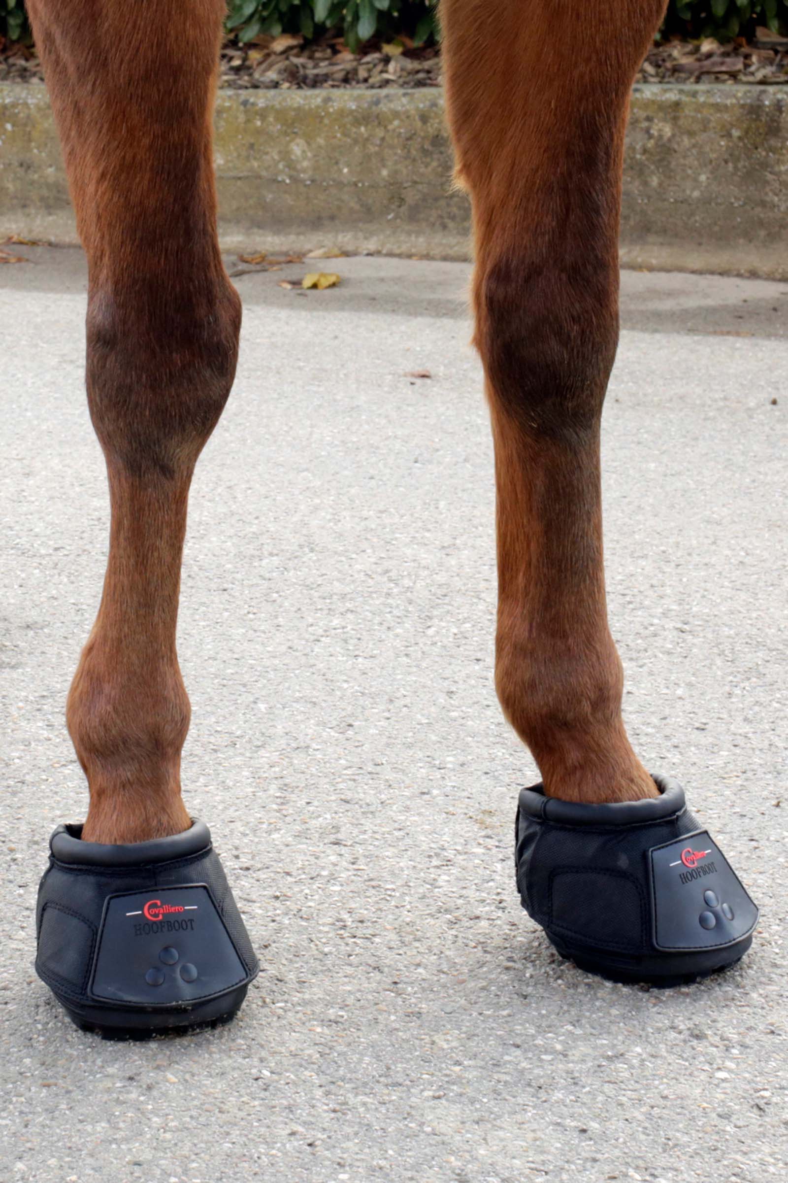 Covalliero kavion suojakenkä (1 kpl)