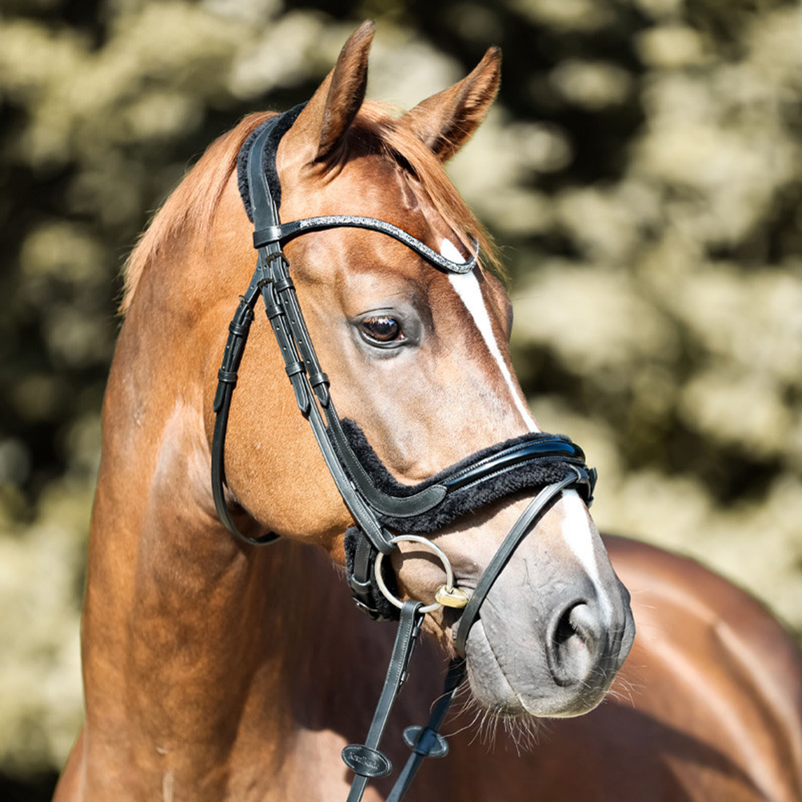 Kavalkade Ivella KavalSH4 suitset