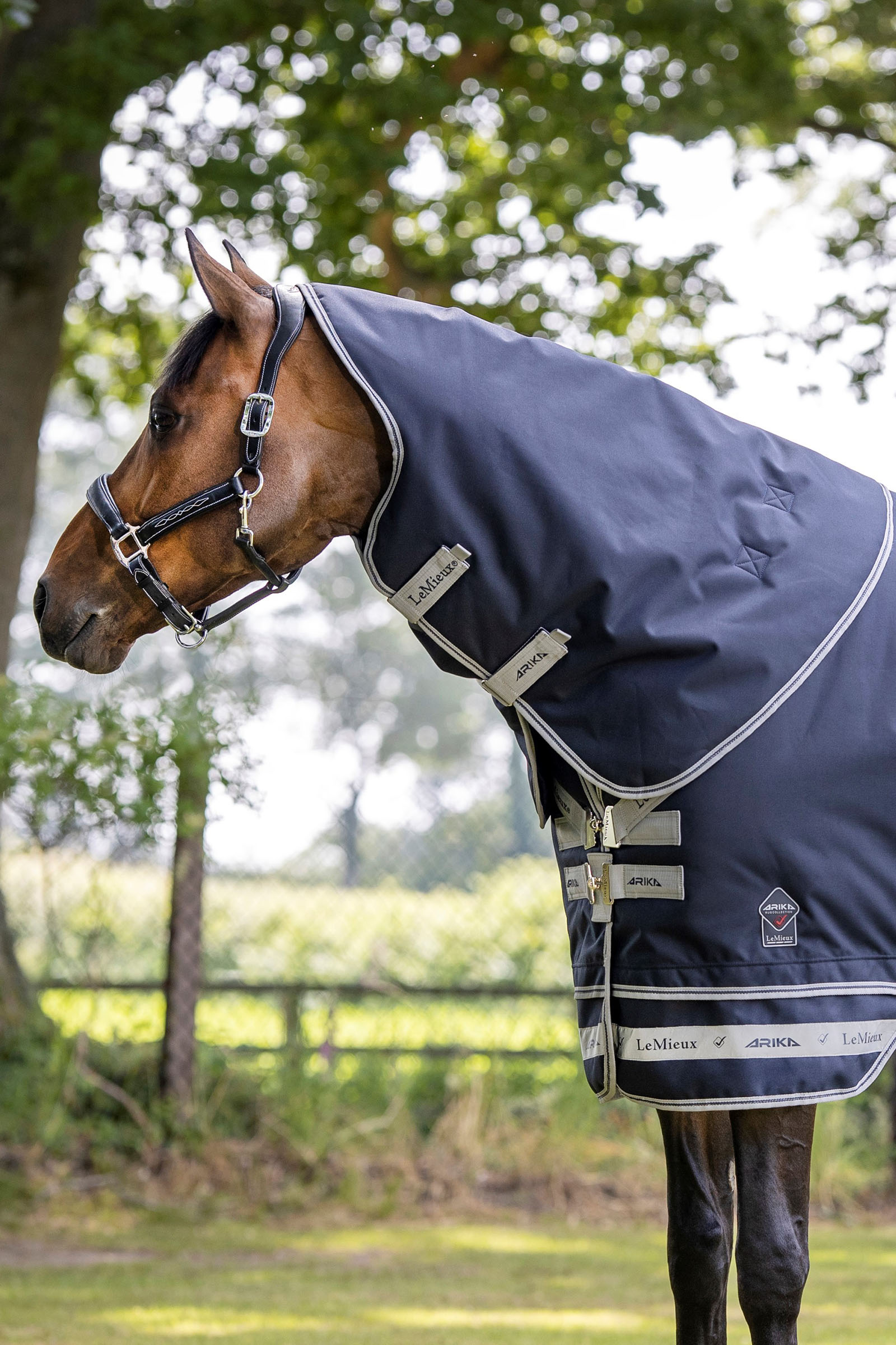 LeMieux Arika Storm-Tek loimi 50g