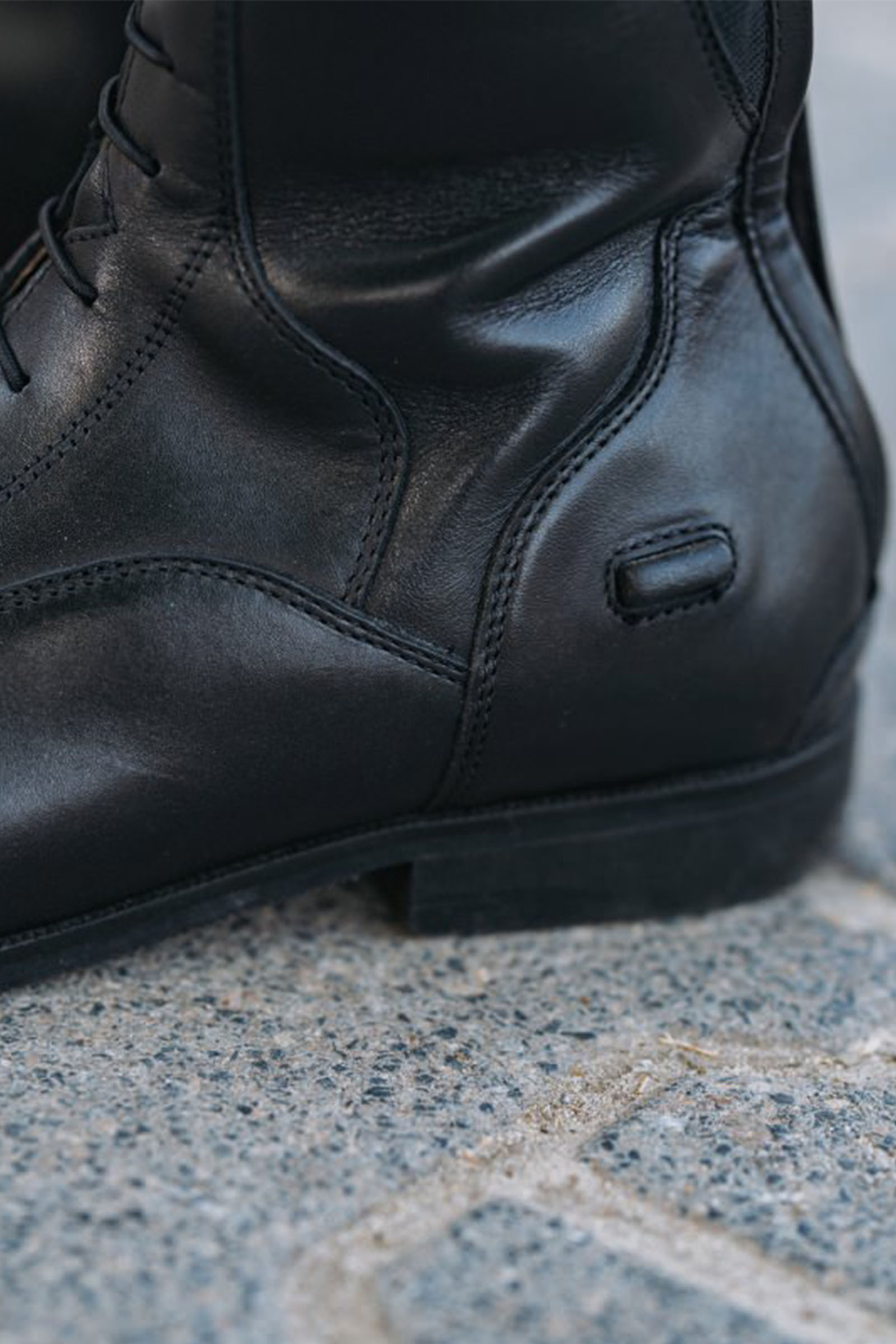 Suedwind Footwear Florentina Korkeat Ratsastussaappaat