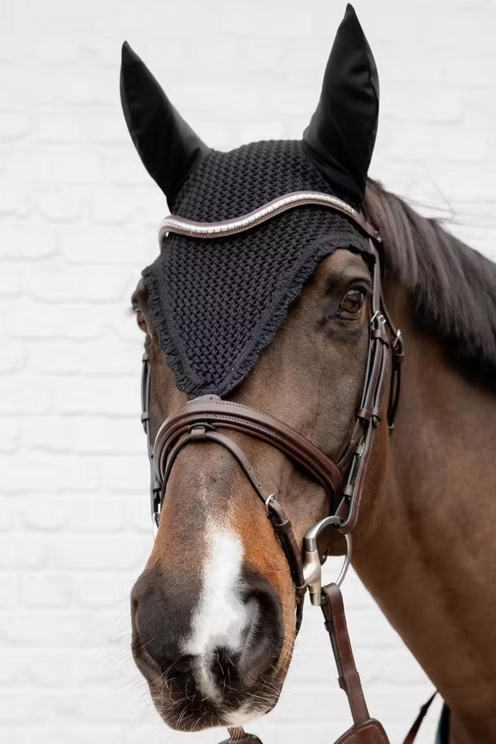 Kentucky pitk&auml; k&auml;rp&auml;shuppu, &auml;&auml;nt&auml; vaimentava  