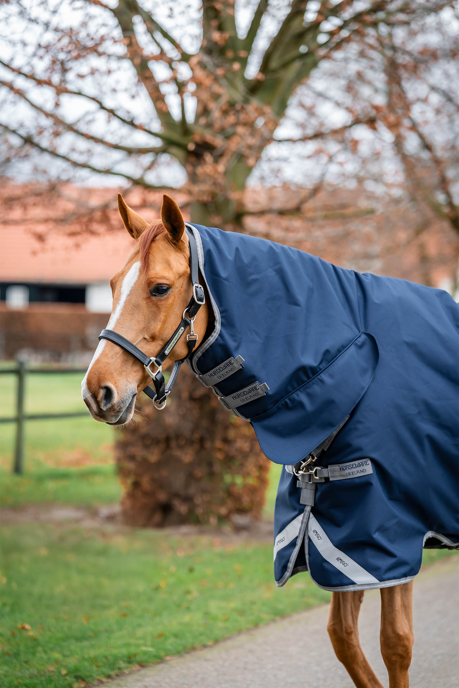 Horseware Amigo 1200D integroitu ulkoloimi 250 g