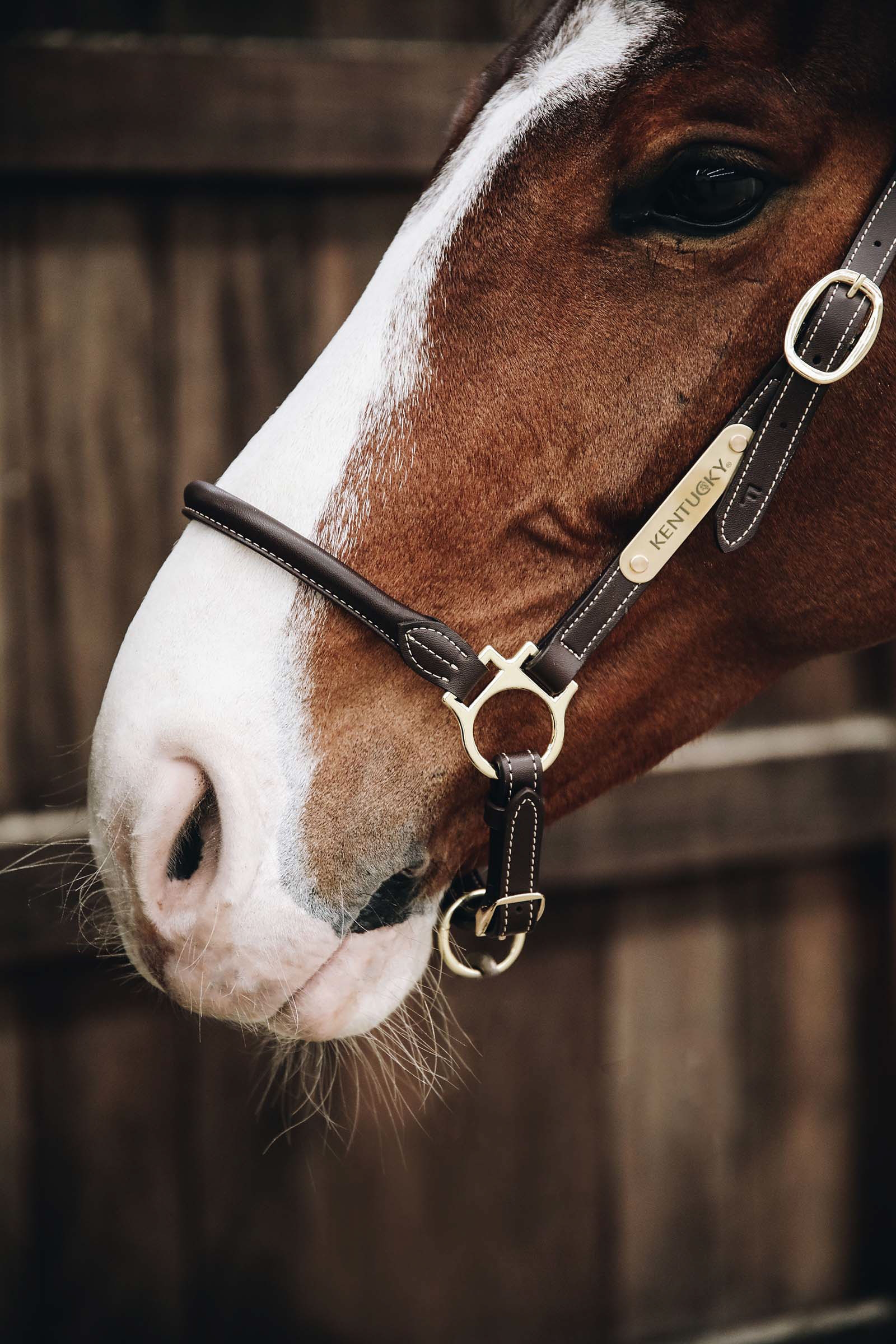 Kentucky Horsewear nahkariimu hoitoon