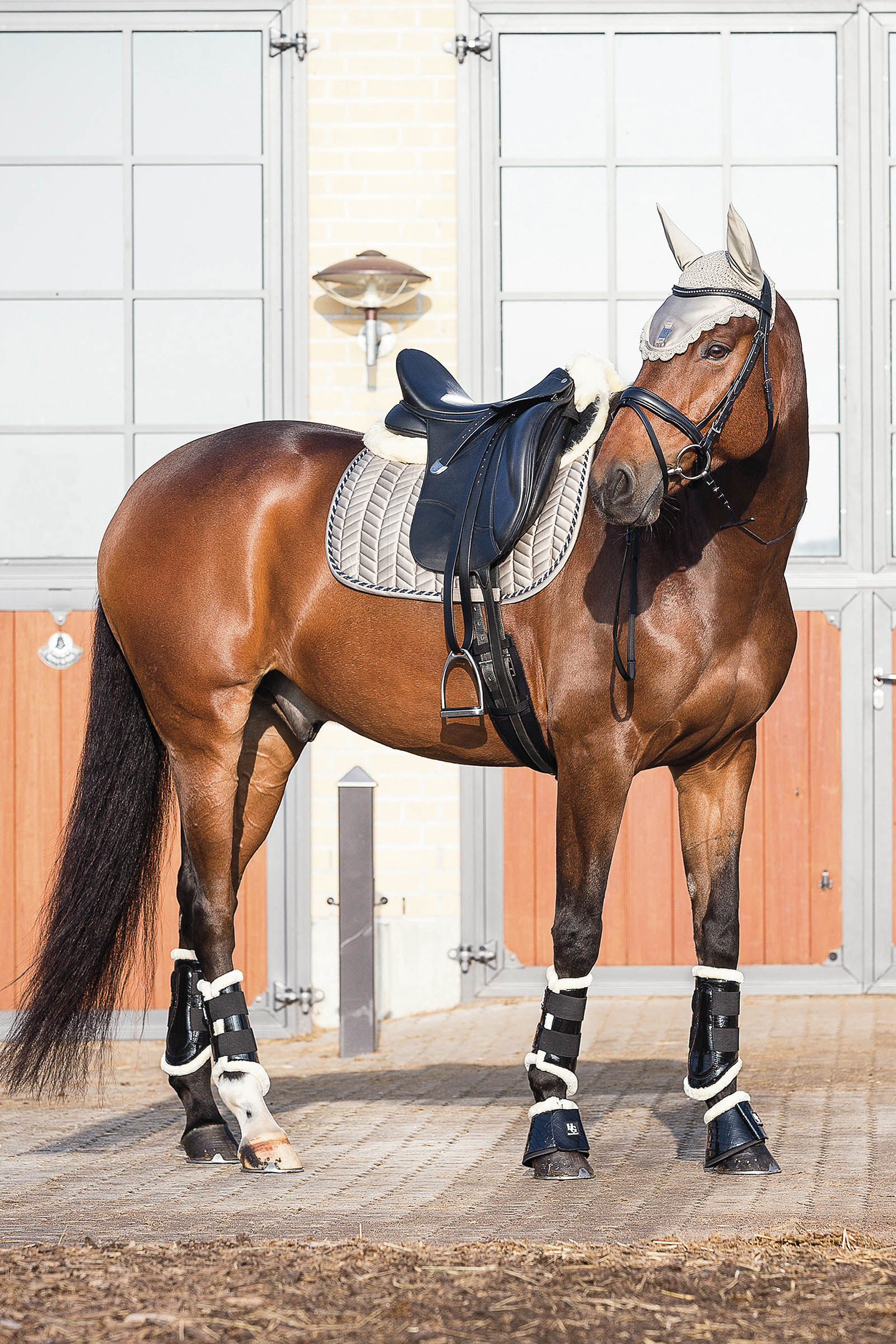 Horse Guard MediLamb romaani