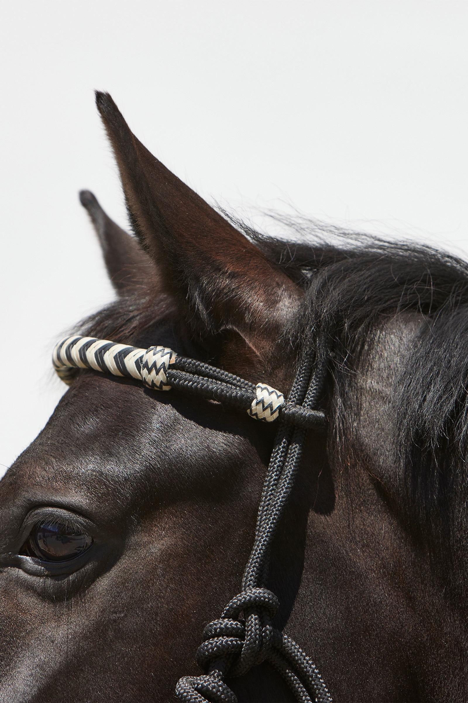 Kieffer Enya naruriimu