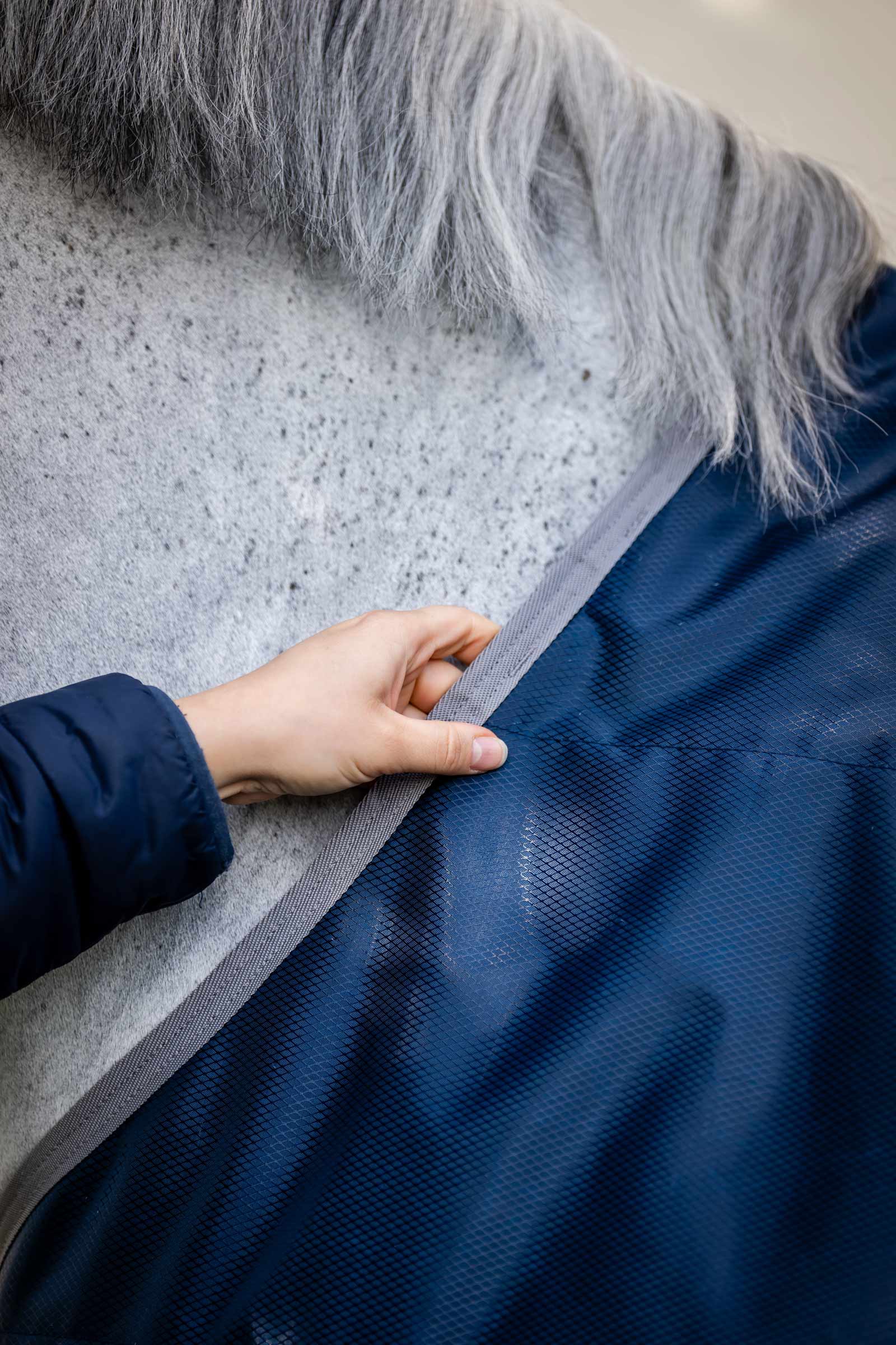 Horseware Ionic Therapy Talliloimi, 50g