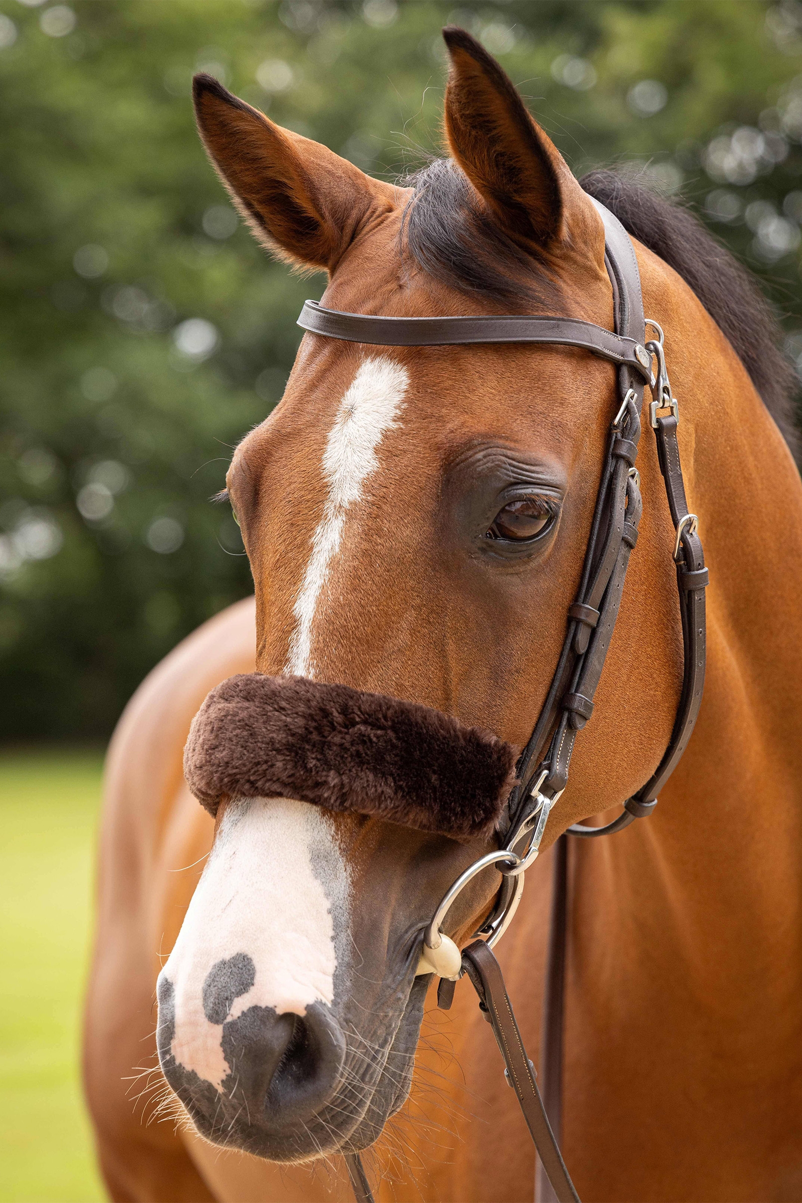 LeMieux Simuwool Noseband Cover