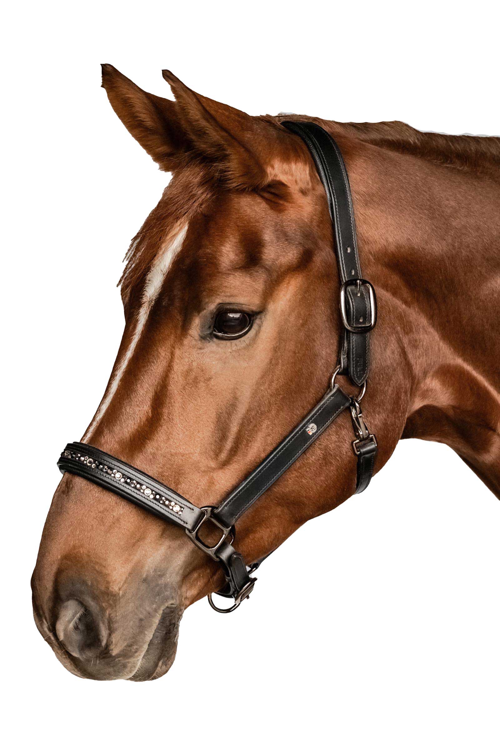 Waldhausen X-Line Crystal Nahkarihmu