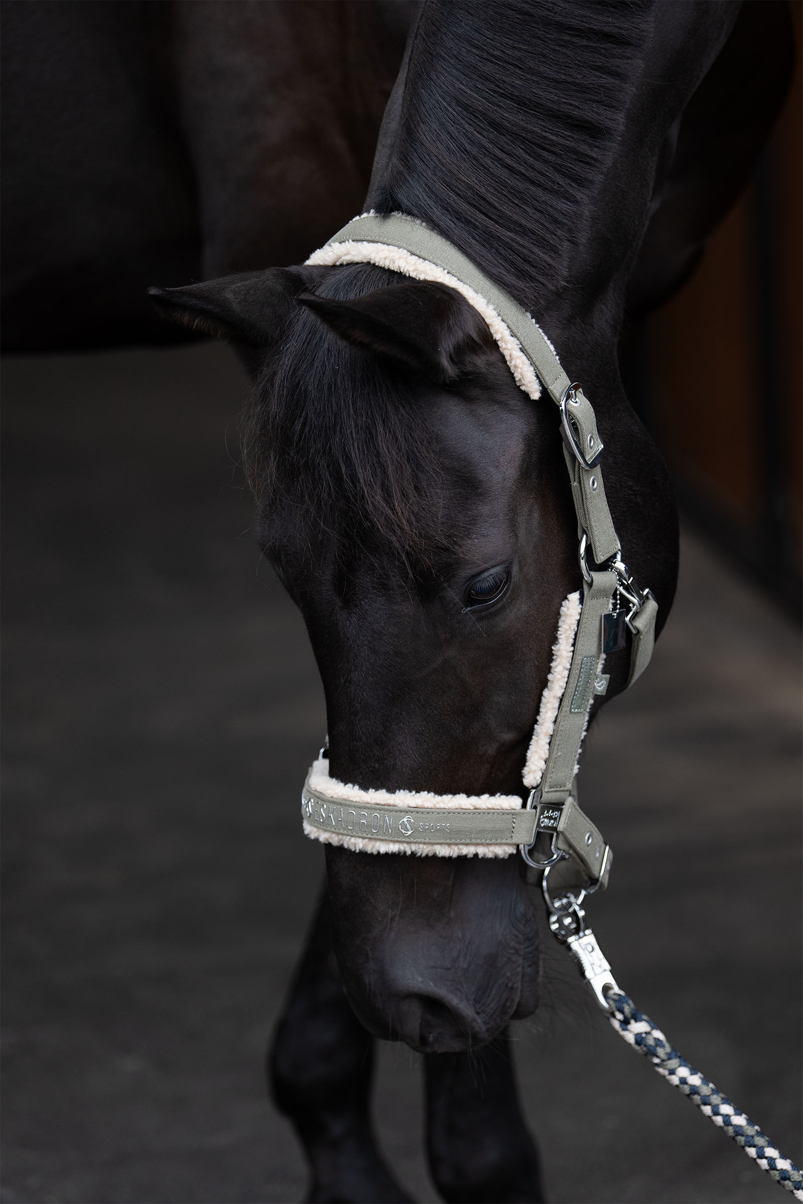 Eskadron Classic Sports SS25 Denim suitsi kaksinkertaisella soljella ja teddyfleece-vuorella