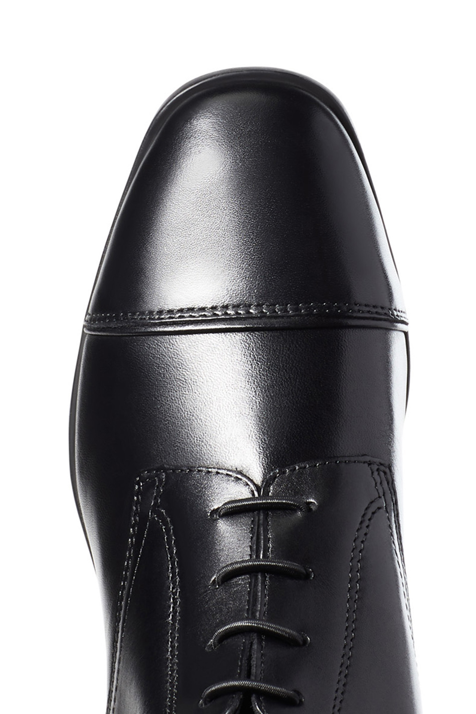 Ariat Palisade Naisten korkeat ratsastussaappaat