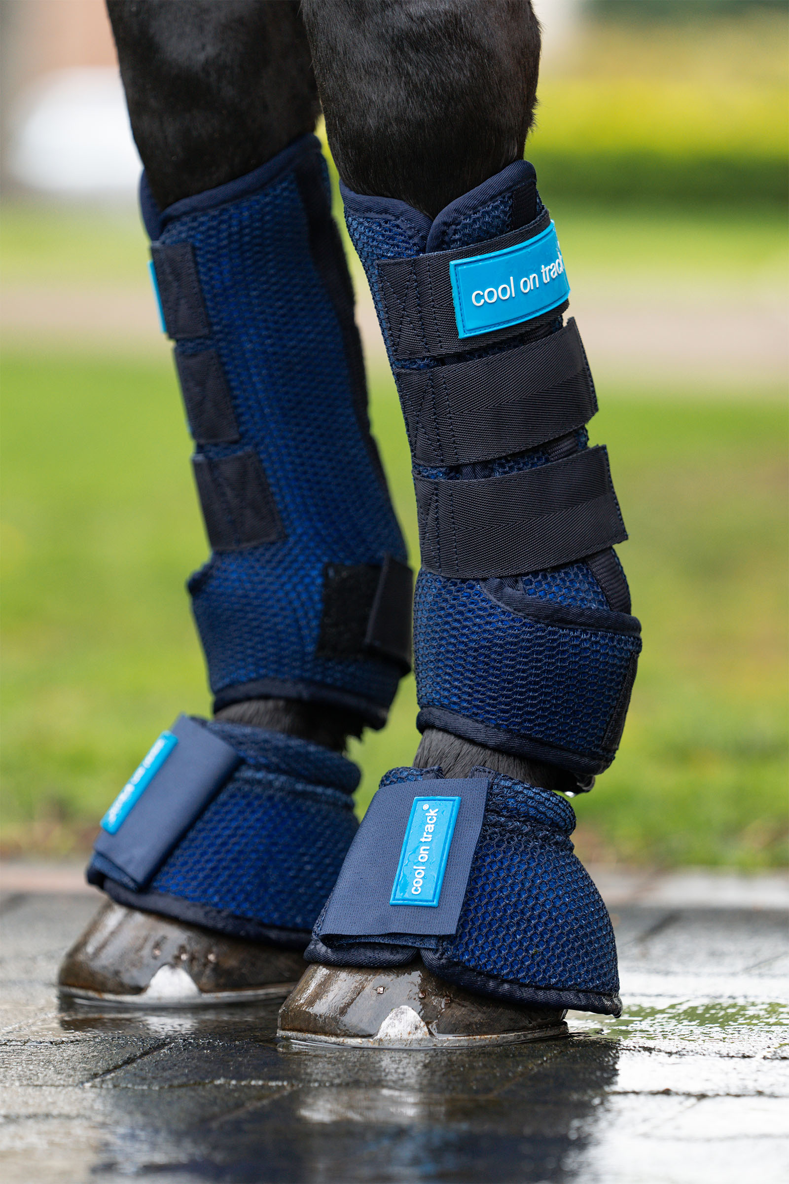 Back on Track Cool on Track bootsit hevoselle