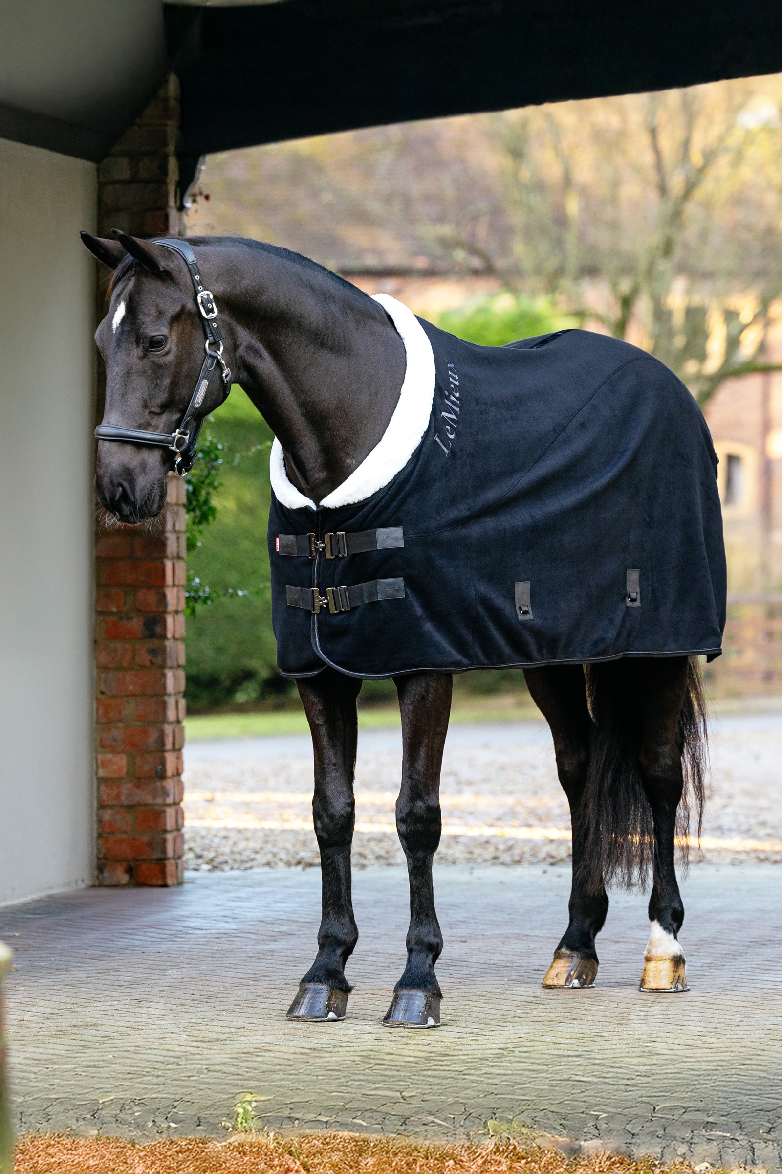Black LeMieux Kudos Luxe Fleece Rug