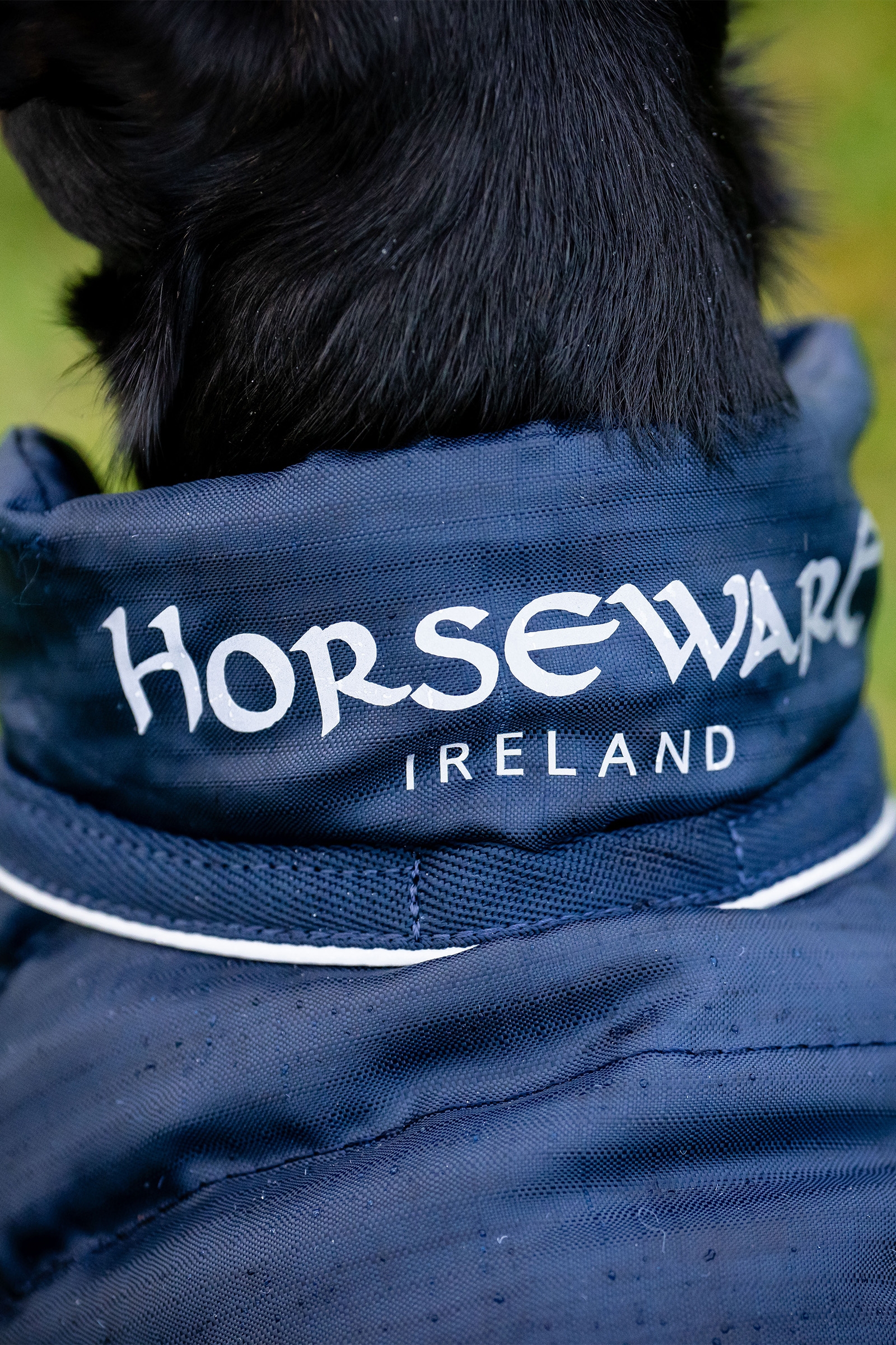 Horseware Signature Koirasadeasu